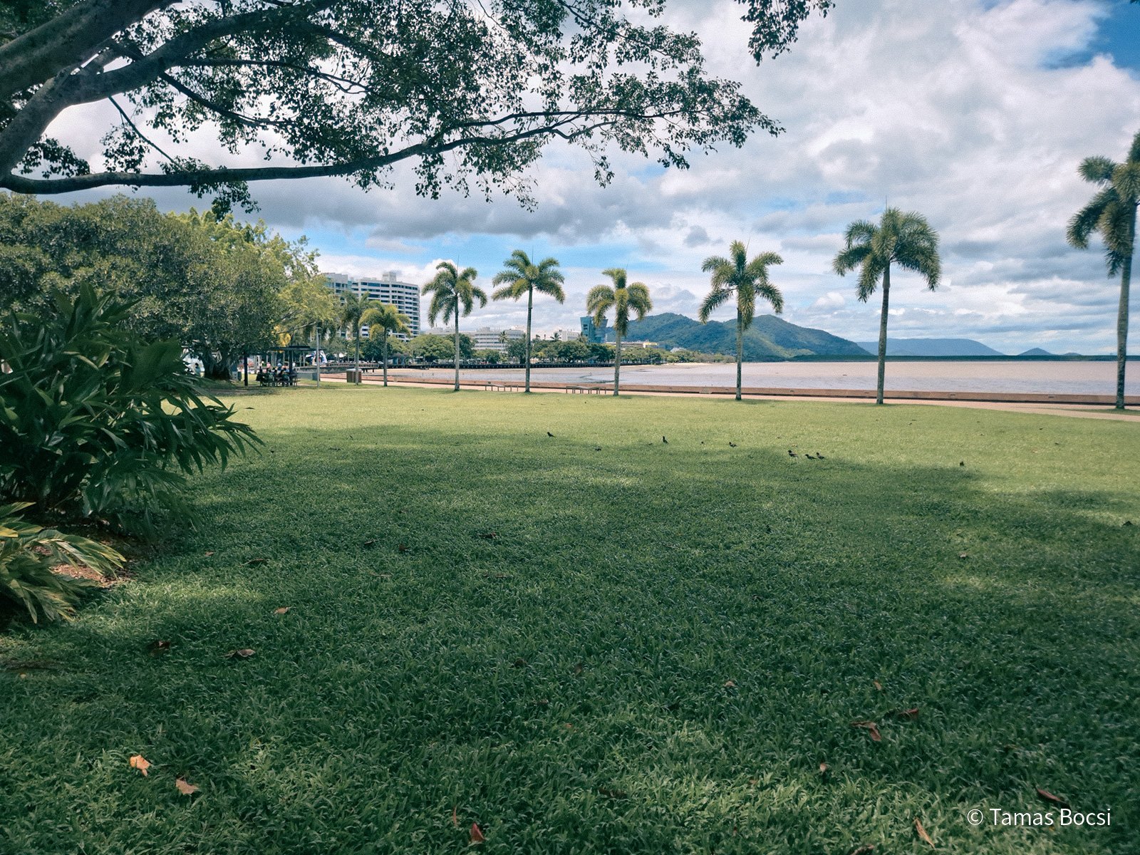 Cairns Esplanade