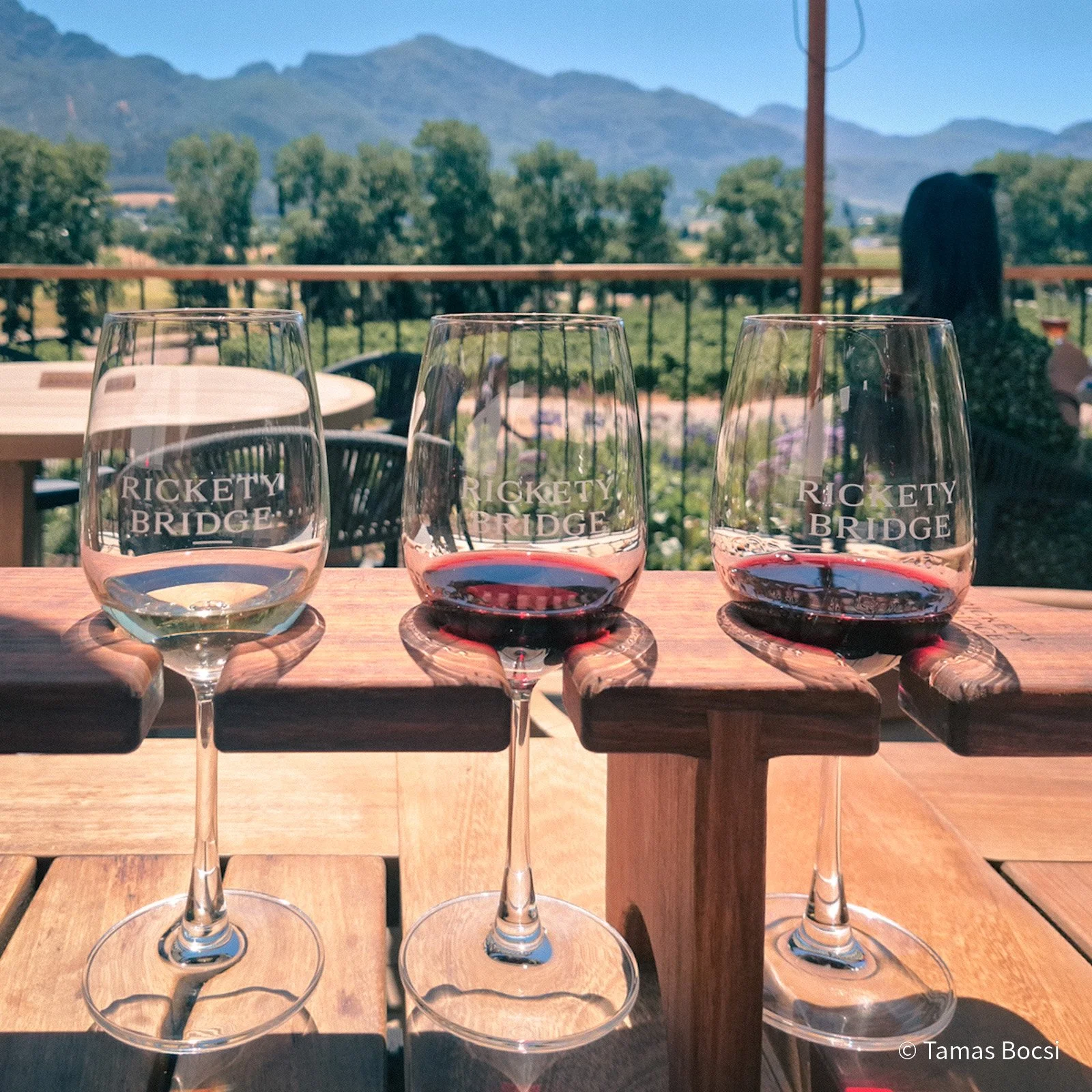 Wine Tasting at Rickety Ridge in Franschhoek