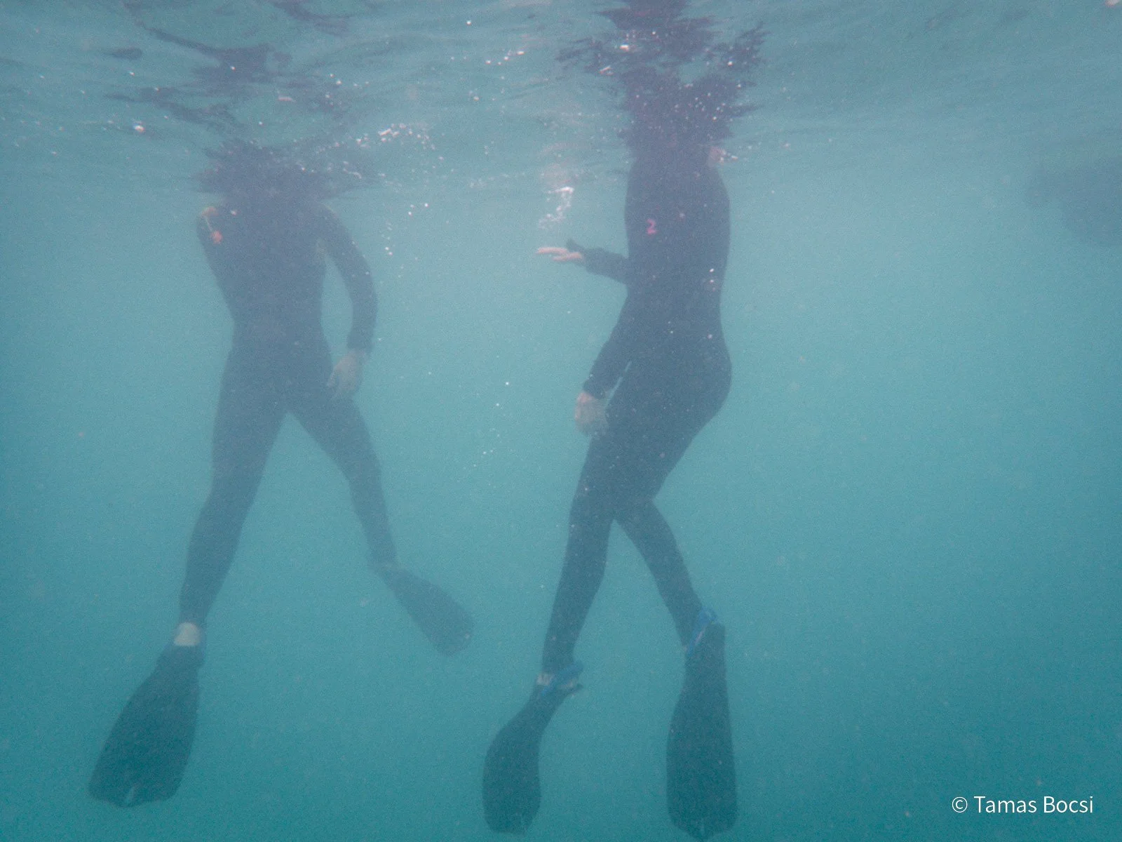 Great Barrier Reef Excusion