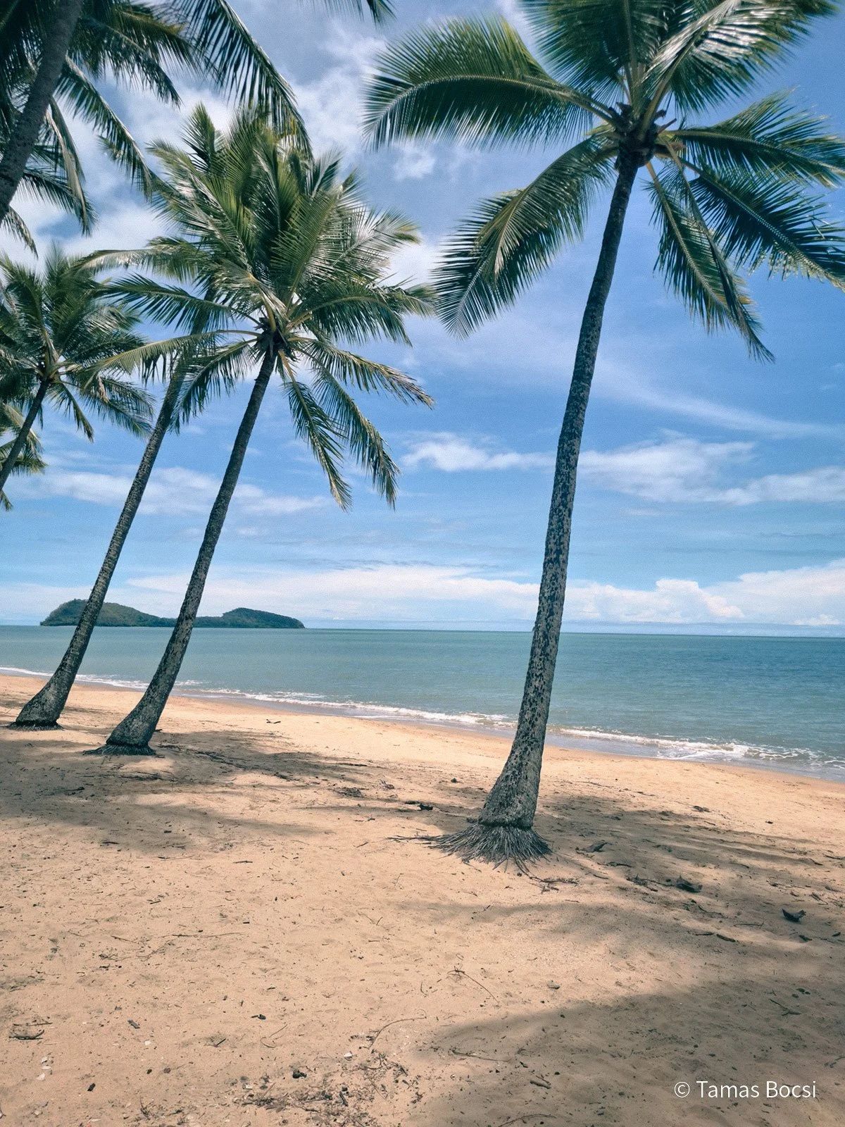 Palm Cove Beach