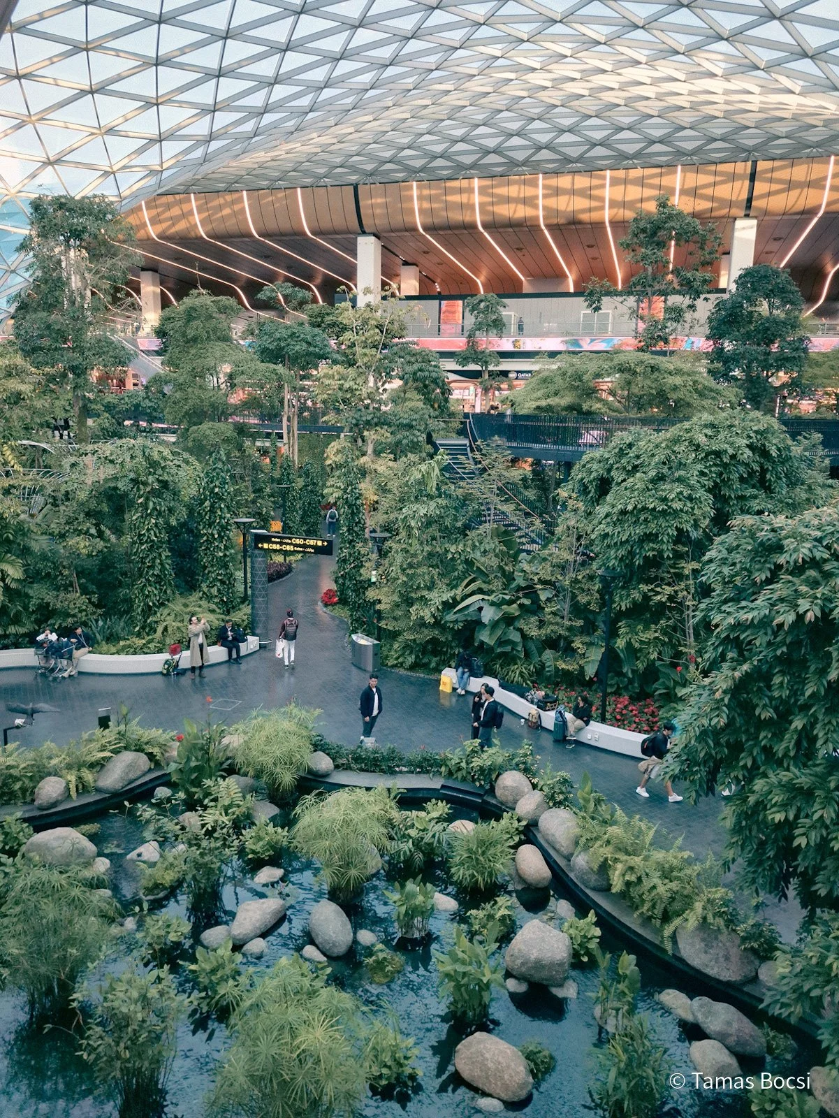 Forest in Doha Airport