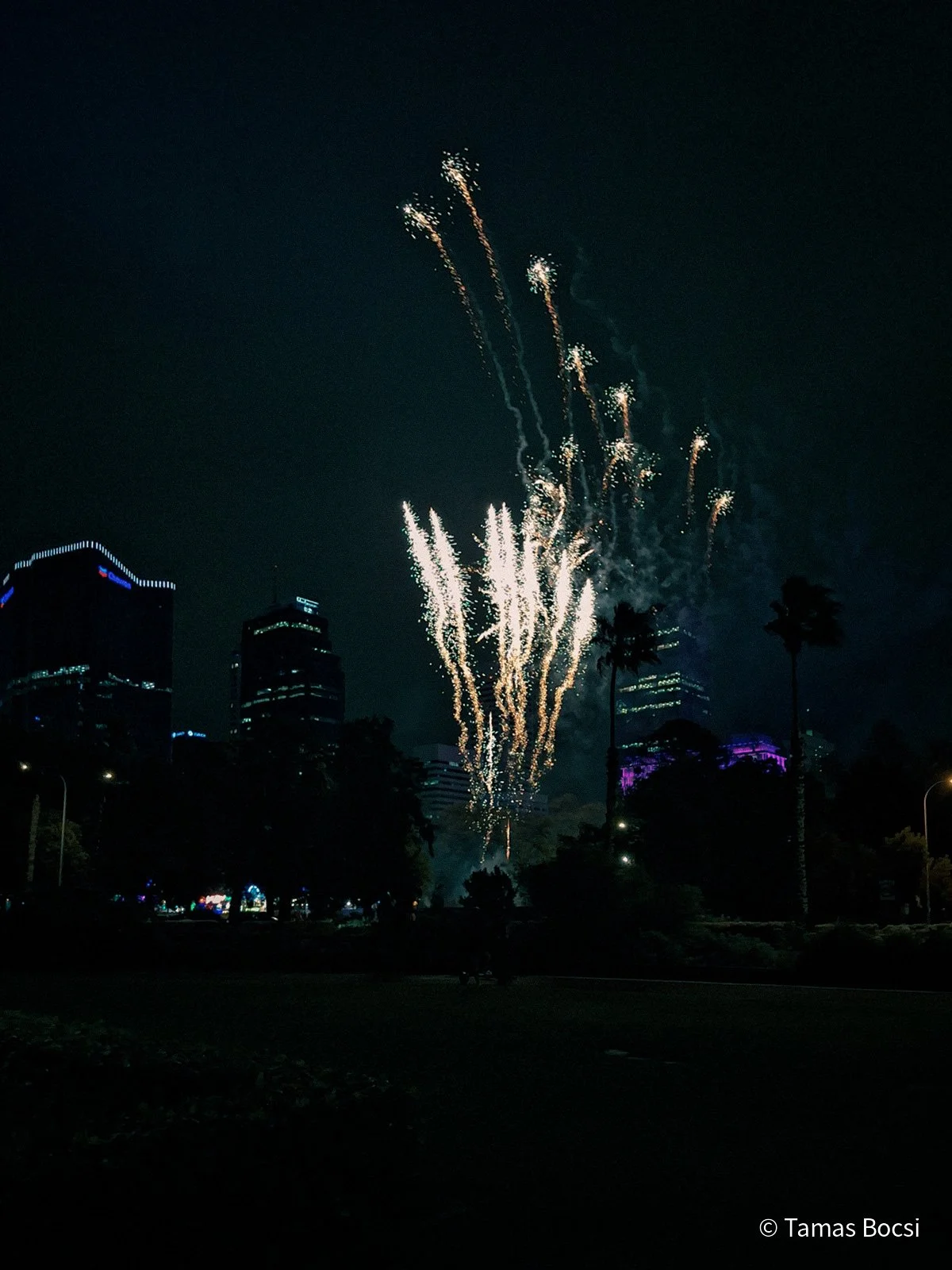 Firework at Supreme Court Garden