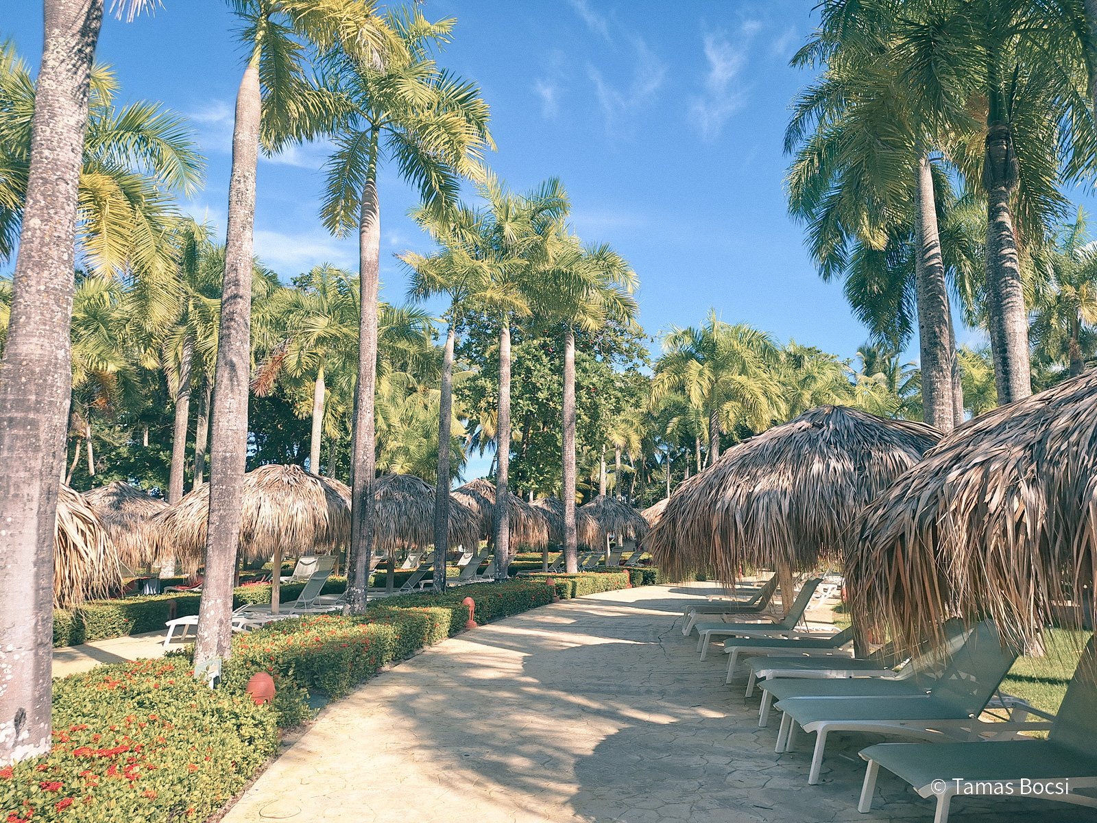 Iberostar Waves Costa Dorada