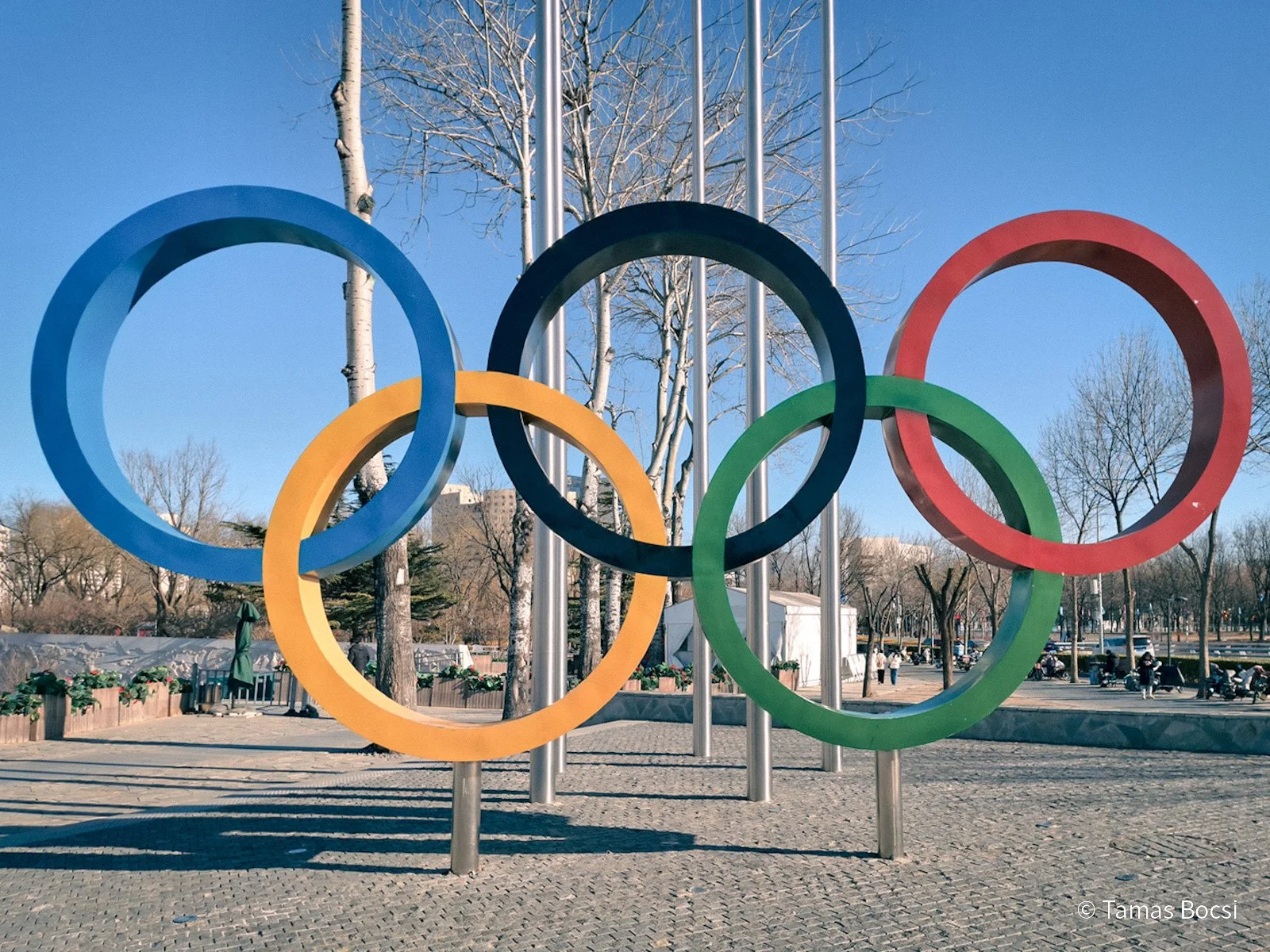 Olympic Rings in Olympic Park