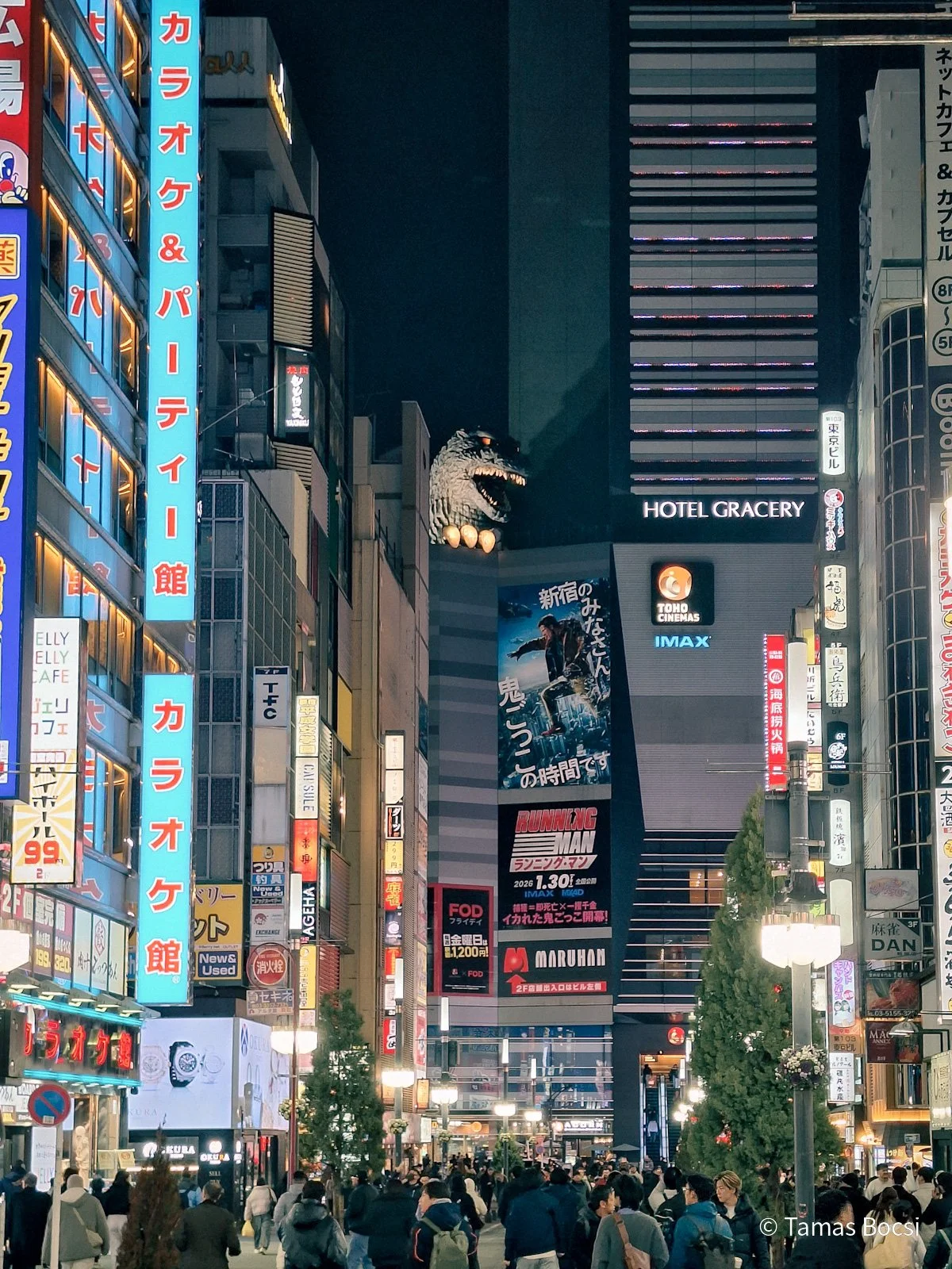 Godzilla Head in Shinjuku - at night