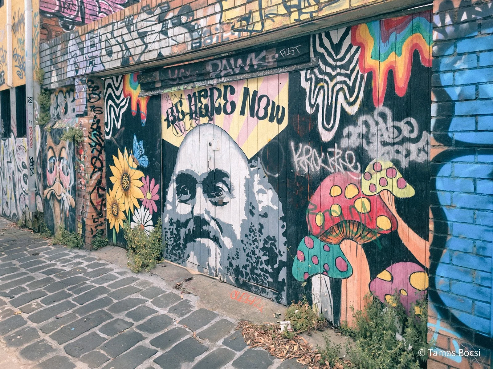 Fitzroy - Street Art