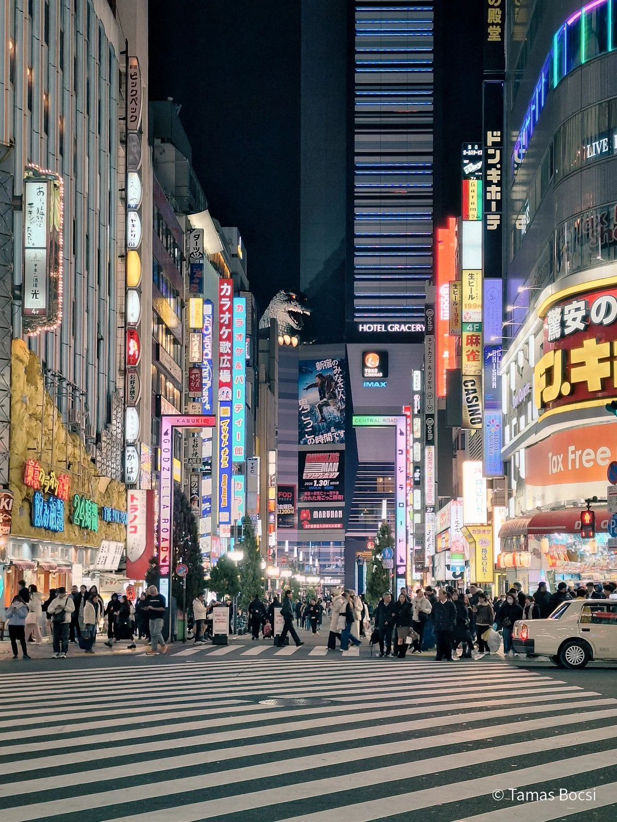 Godzilla Head in Shinjuku - at night