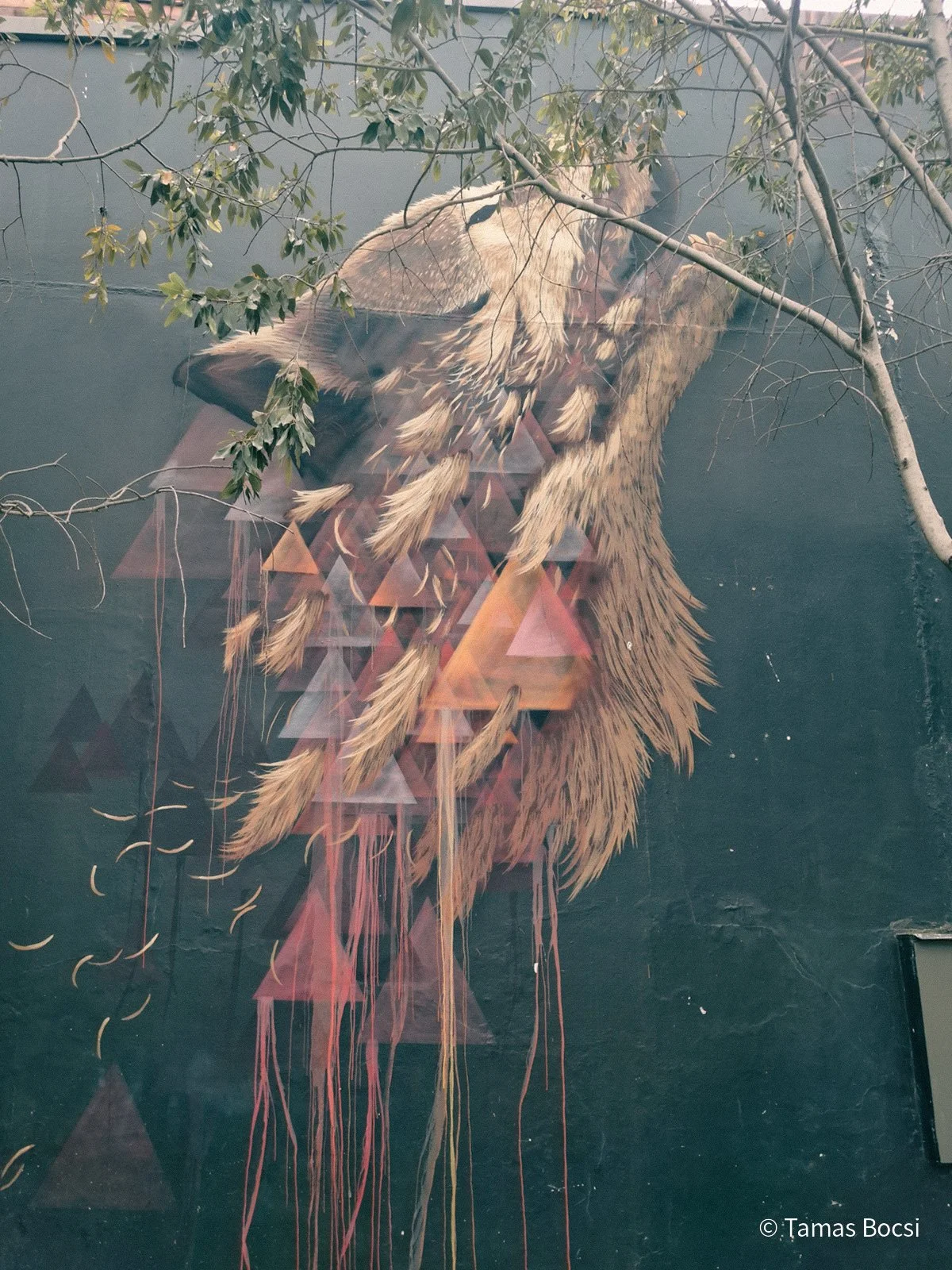 Street art in Cape Town