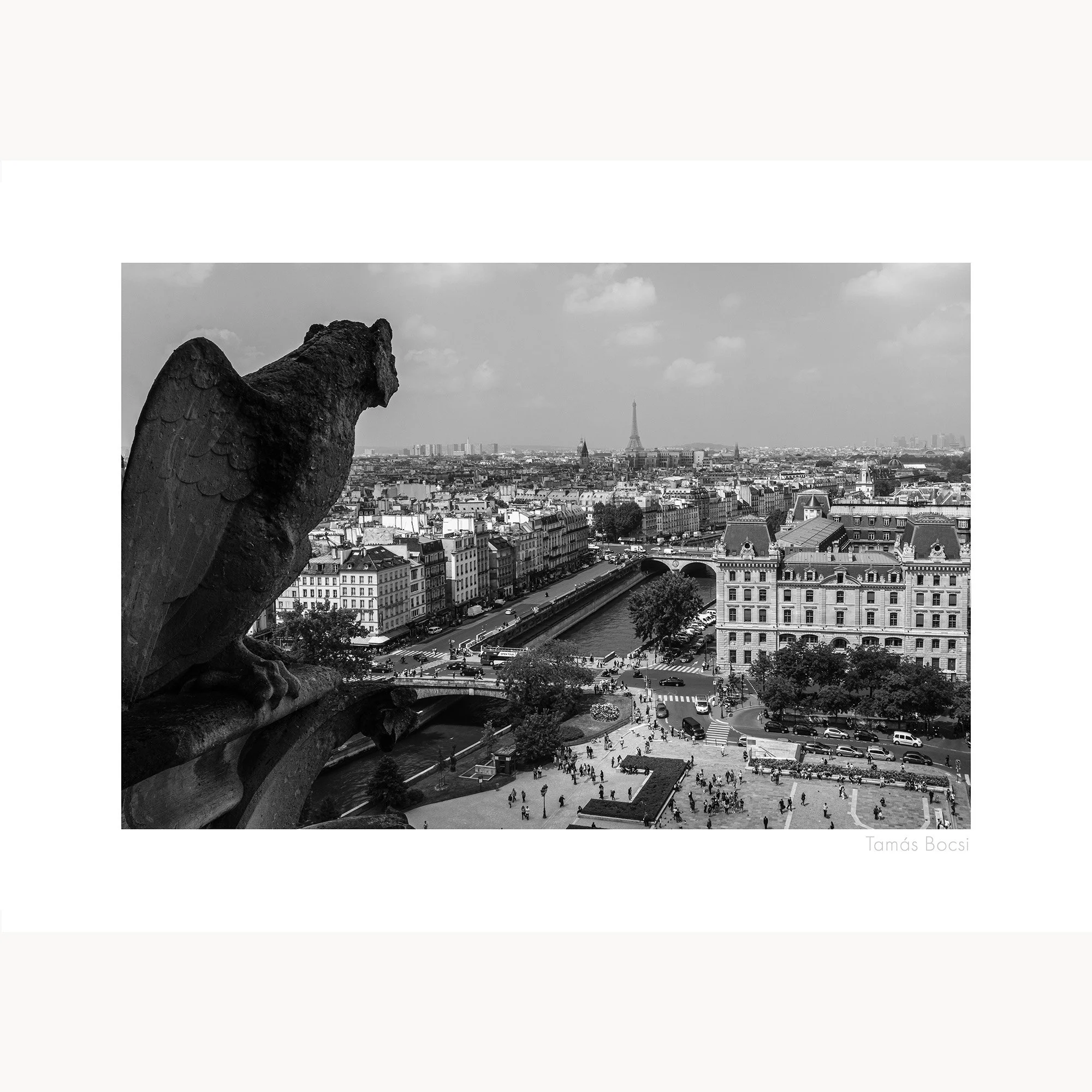 Paris-Gargole_Mock-up Poster.jpg