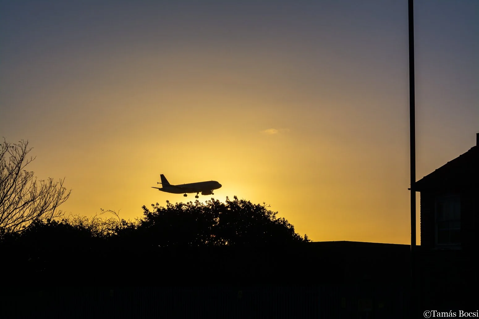 Airplane flying in the sky during sunset with silhouette of trees and a building in the foreground.