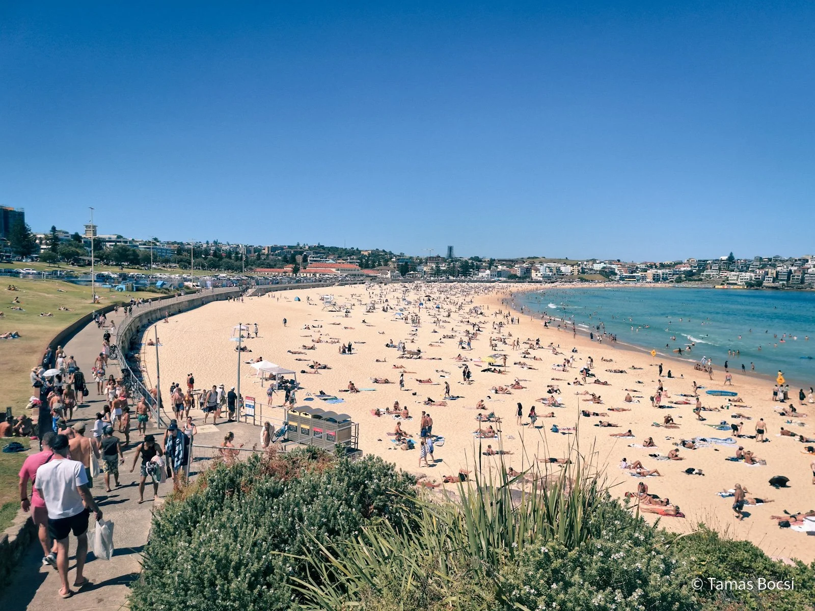 Bondi Beach