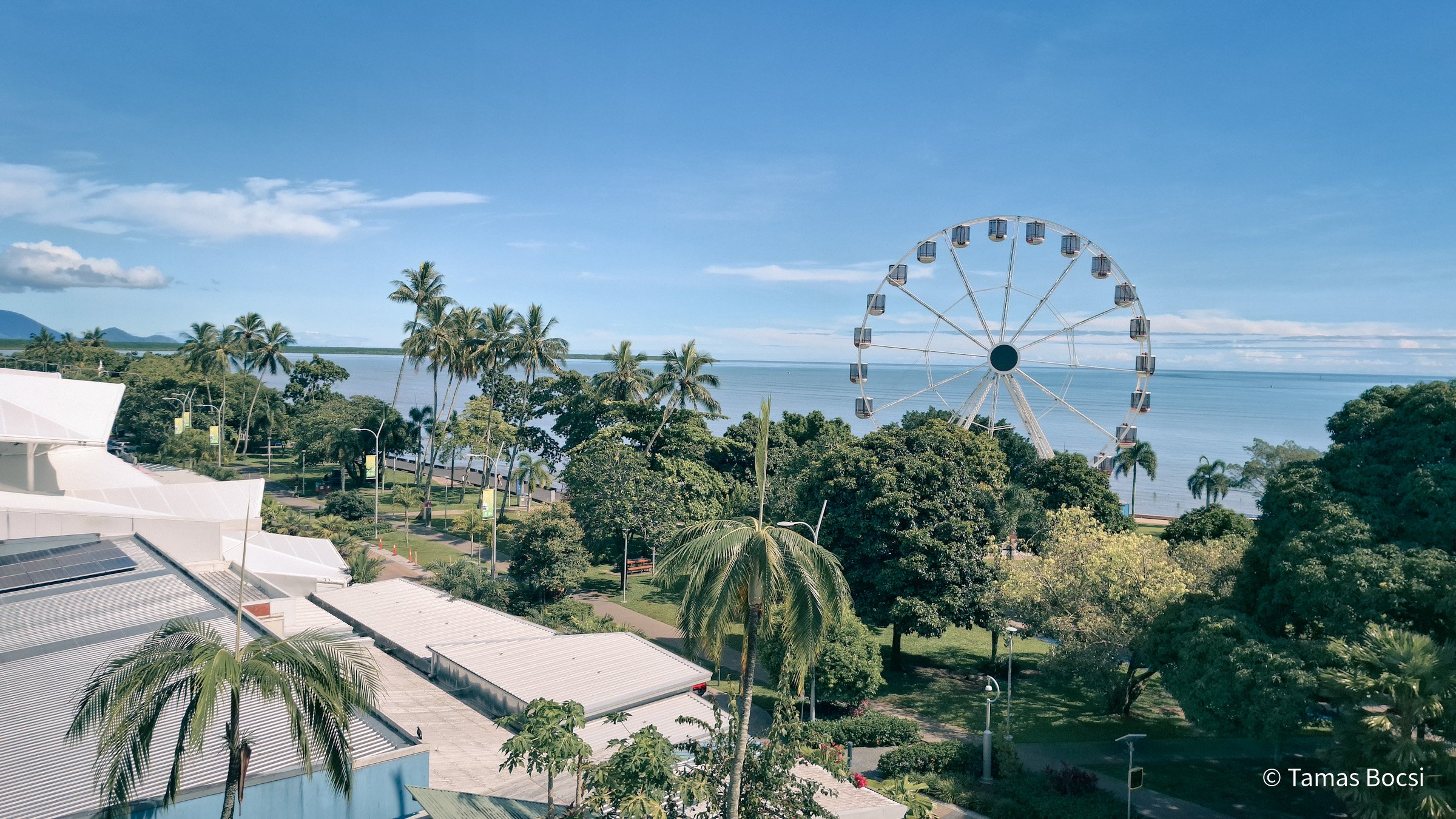 Picnic area with palm trees, a Ferris wheel, and ocean in the distance under a cloudy blue sky.