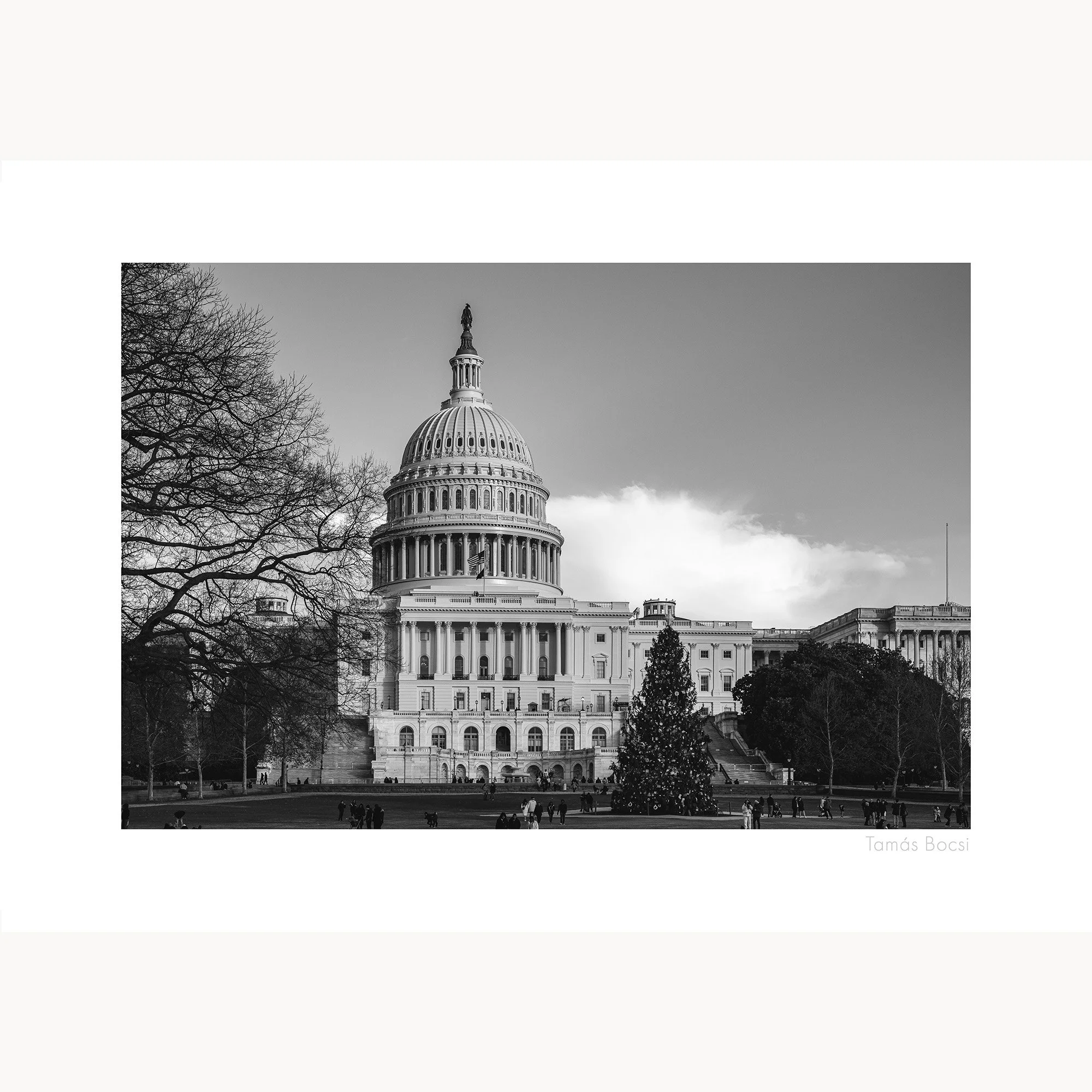 Washington DC Capitol BW - Poster