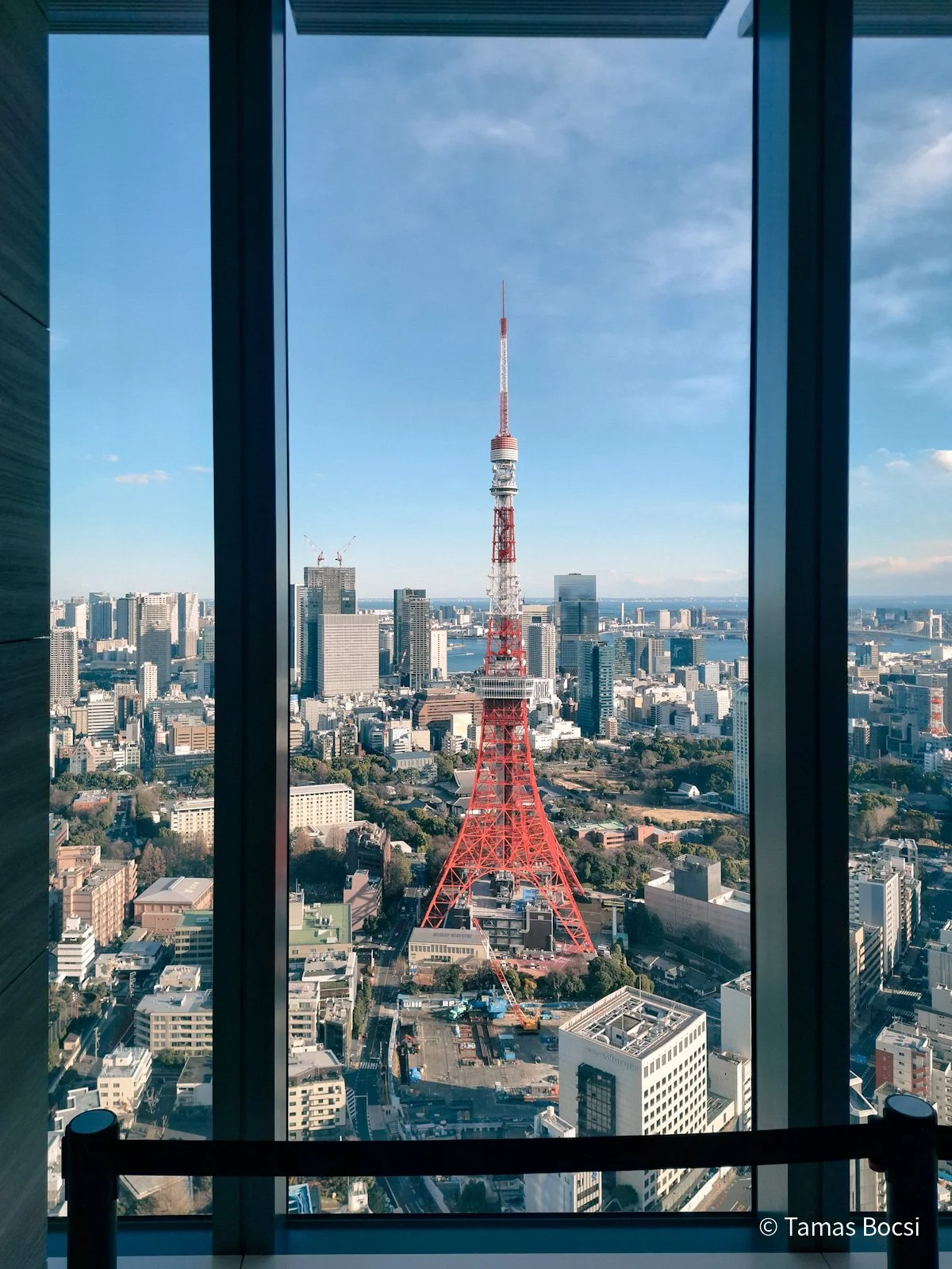 Tokyo Tower from Sky Lobby