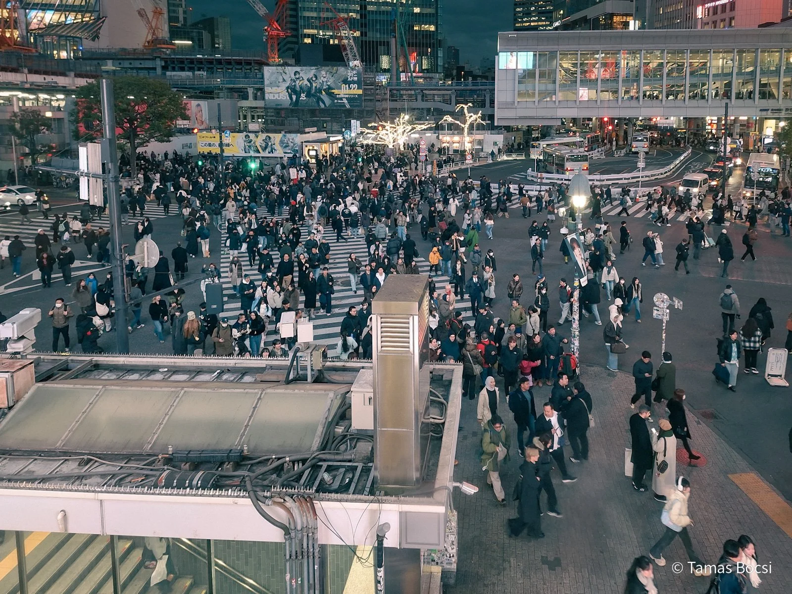 Shibuya Crossing - at night