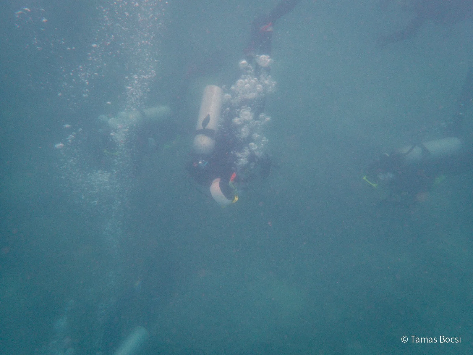 Great Barrier Reef Excusion