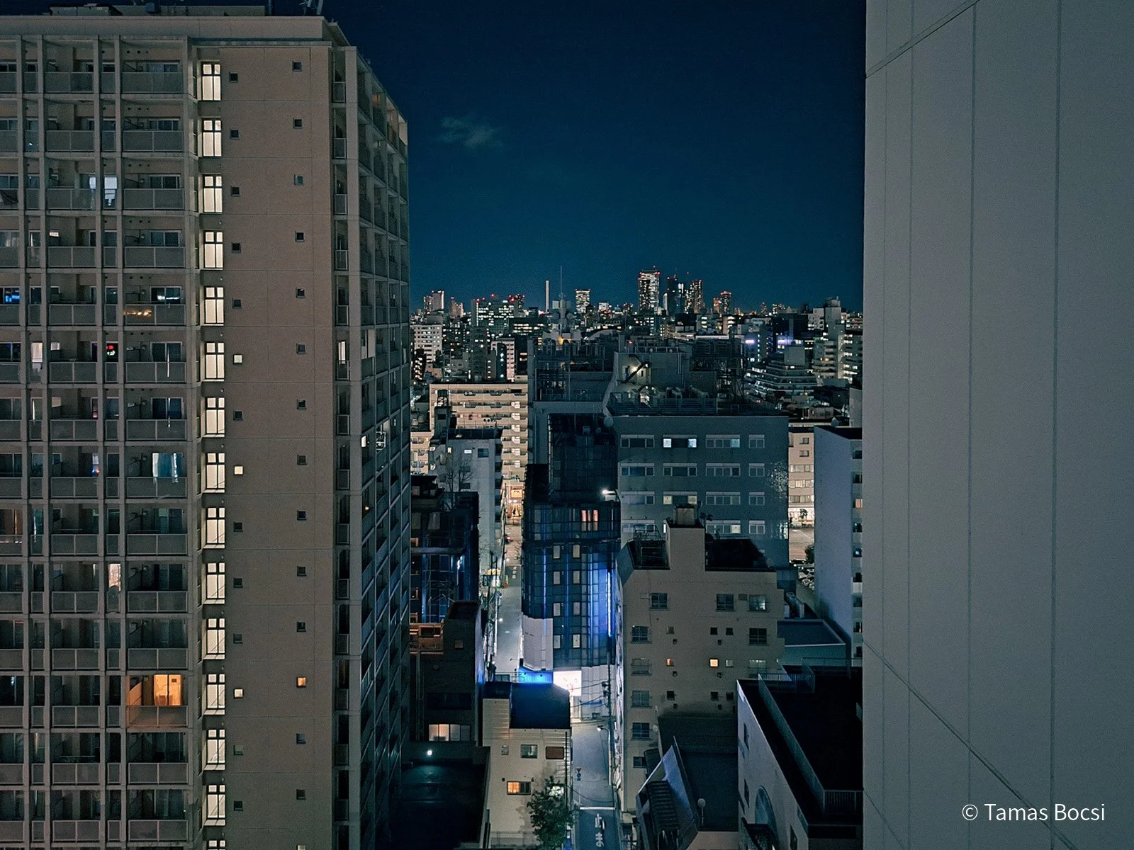 View over Shinjuku - at night