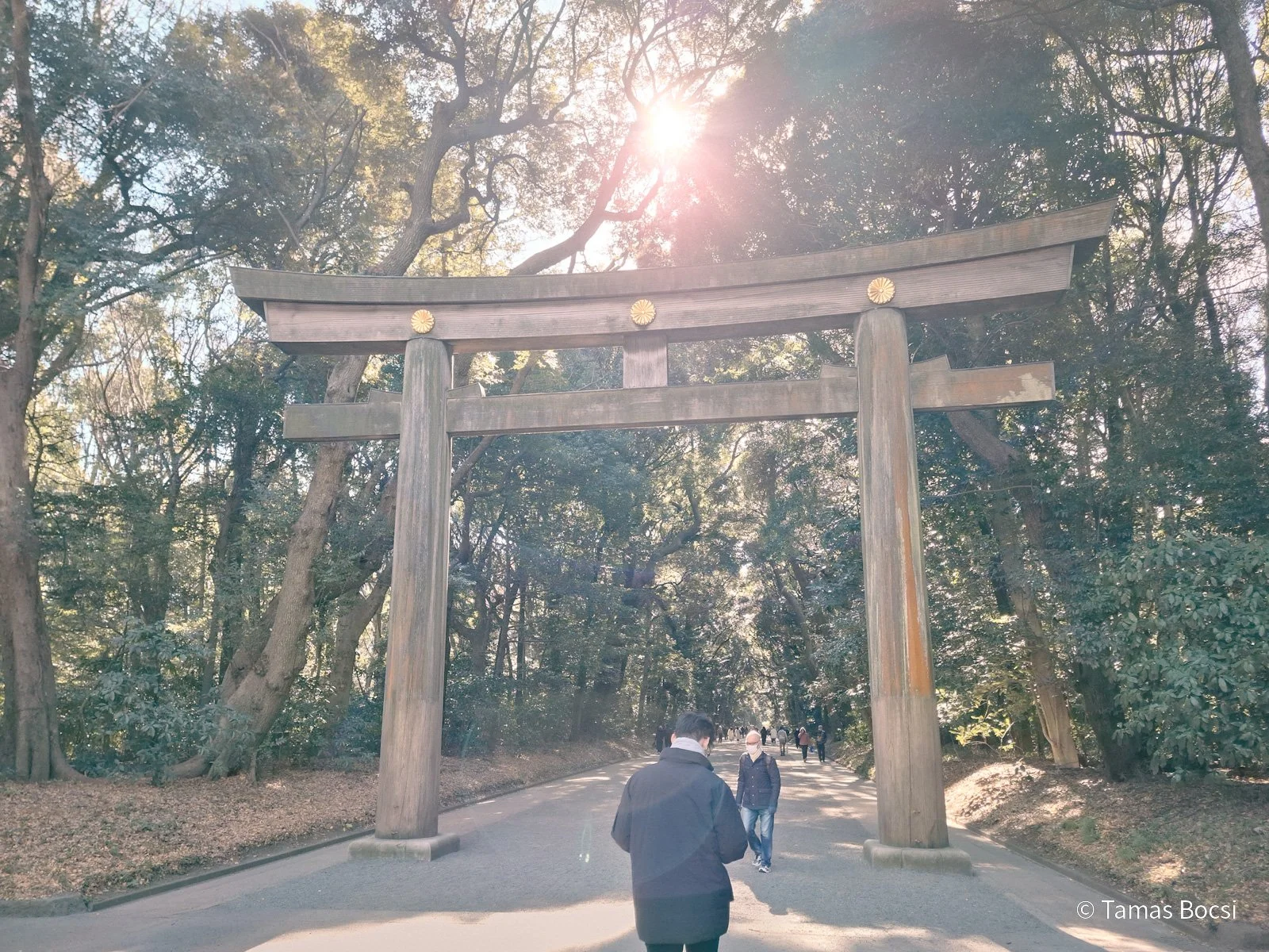 Kitasando Torii - entrance to Meiji Jingu