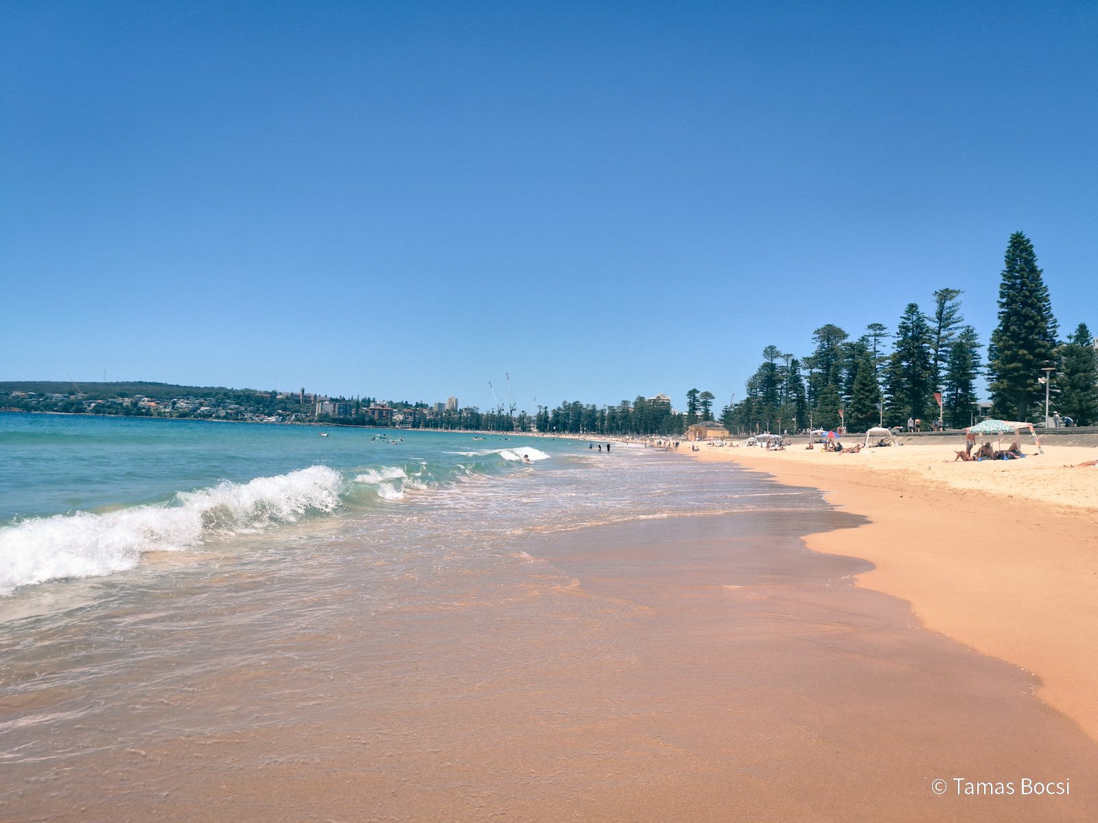 Manly Beach