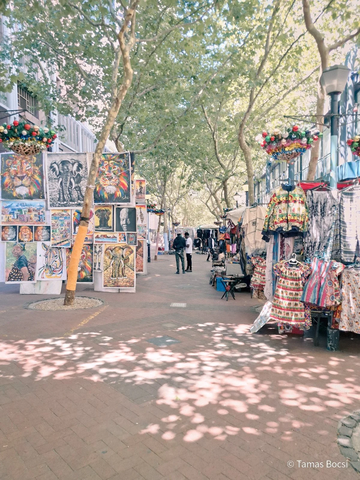 Street market on St. George Mall