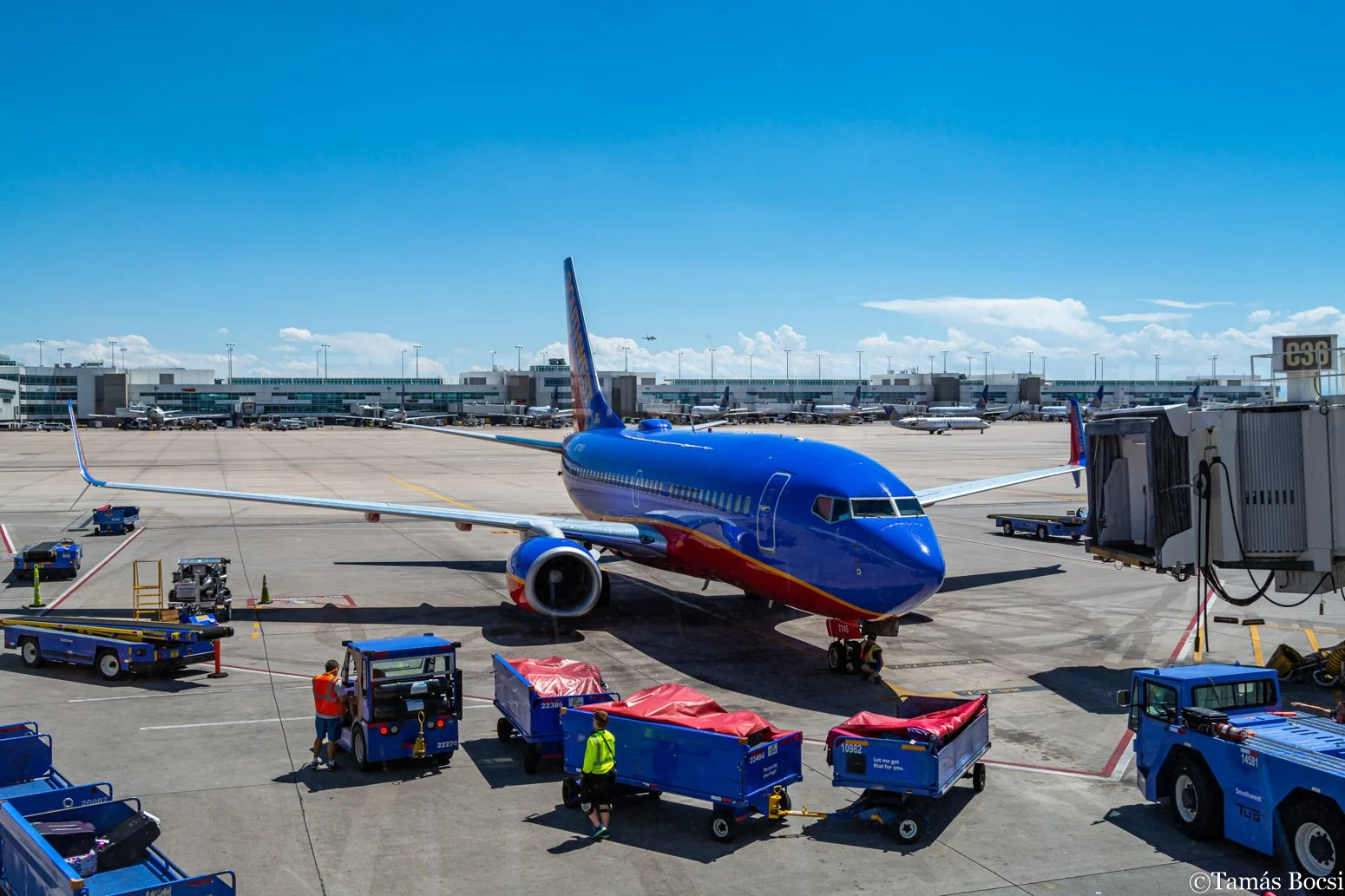 Blue airplane parked at a gate at an airport, with ground crew and luggage carts nearby, and other airplanes on the tarmac in the background.