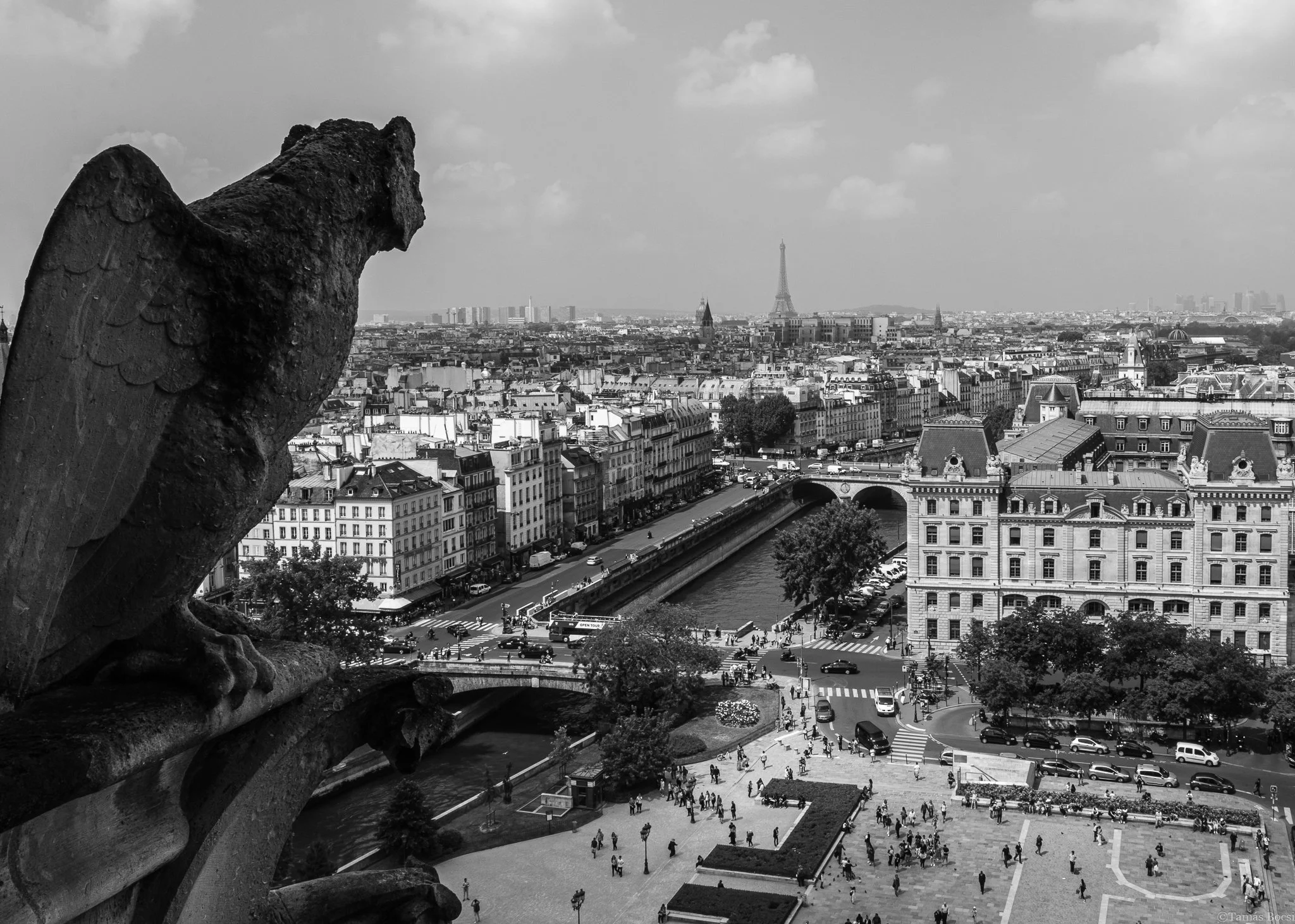 View of Paris from Notre Dame