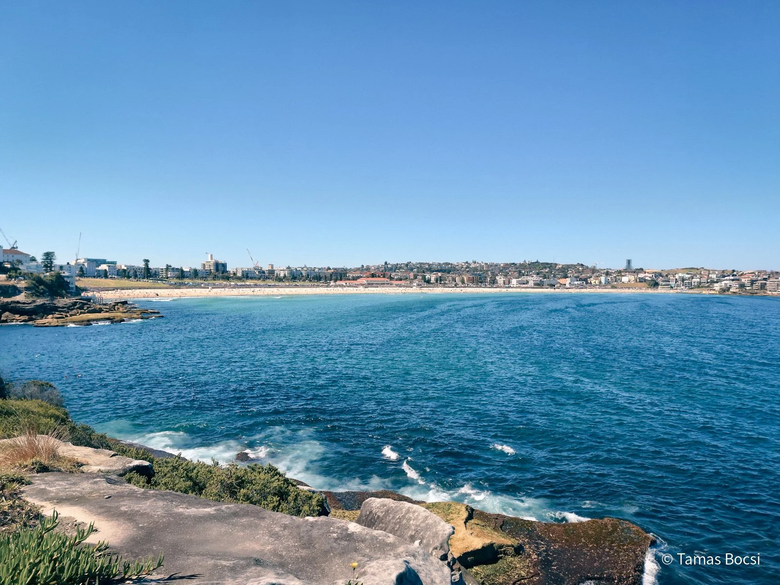 Bondi Beach