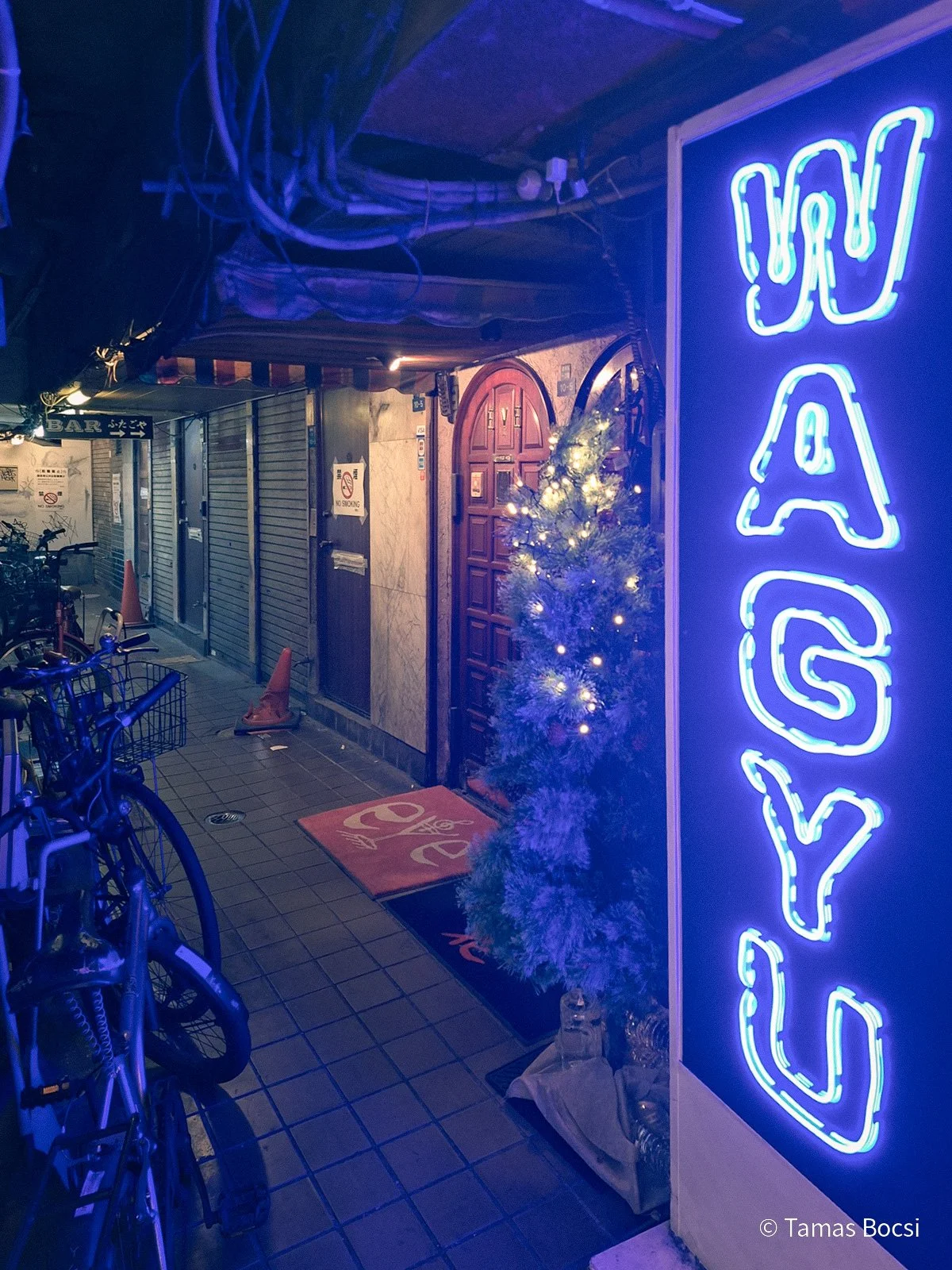 Halal Wagyu & Vegan Ramen