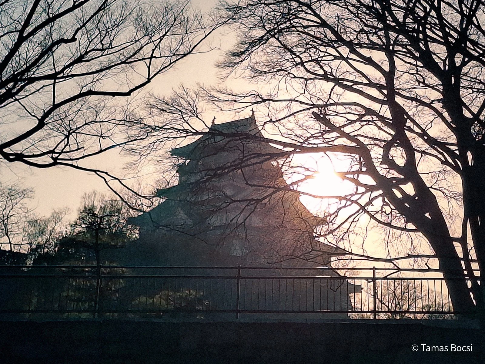 Osaka Castle