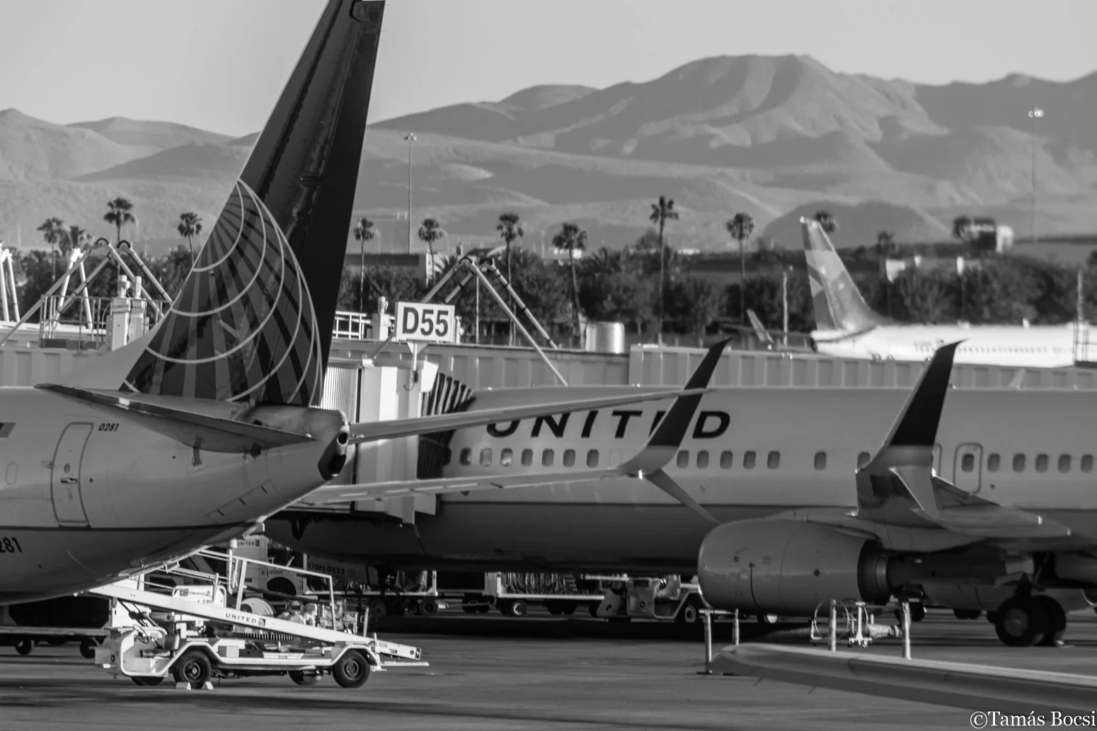 Multiple airplanes parked at an airport with mountain ranges in the background, some palm trees, and airport equipment on the tarmac.