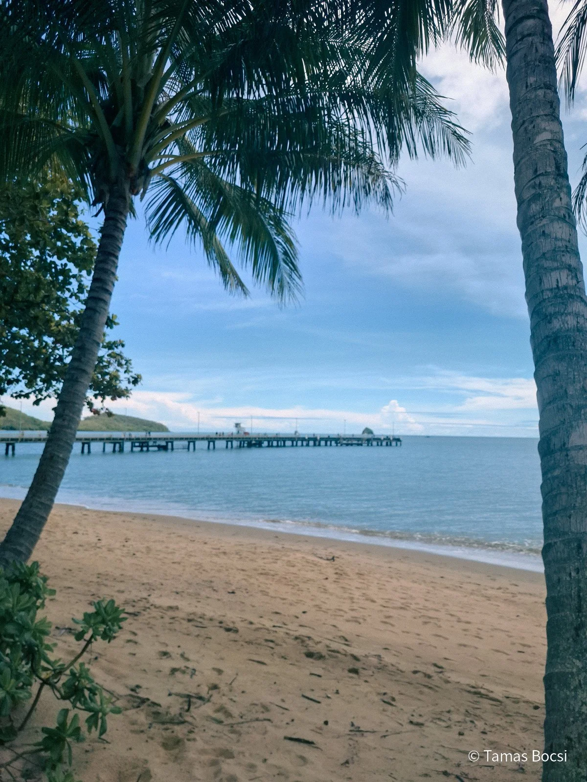 Palm Cove Beach