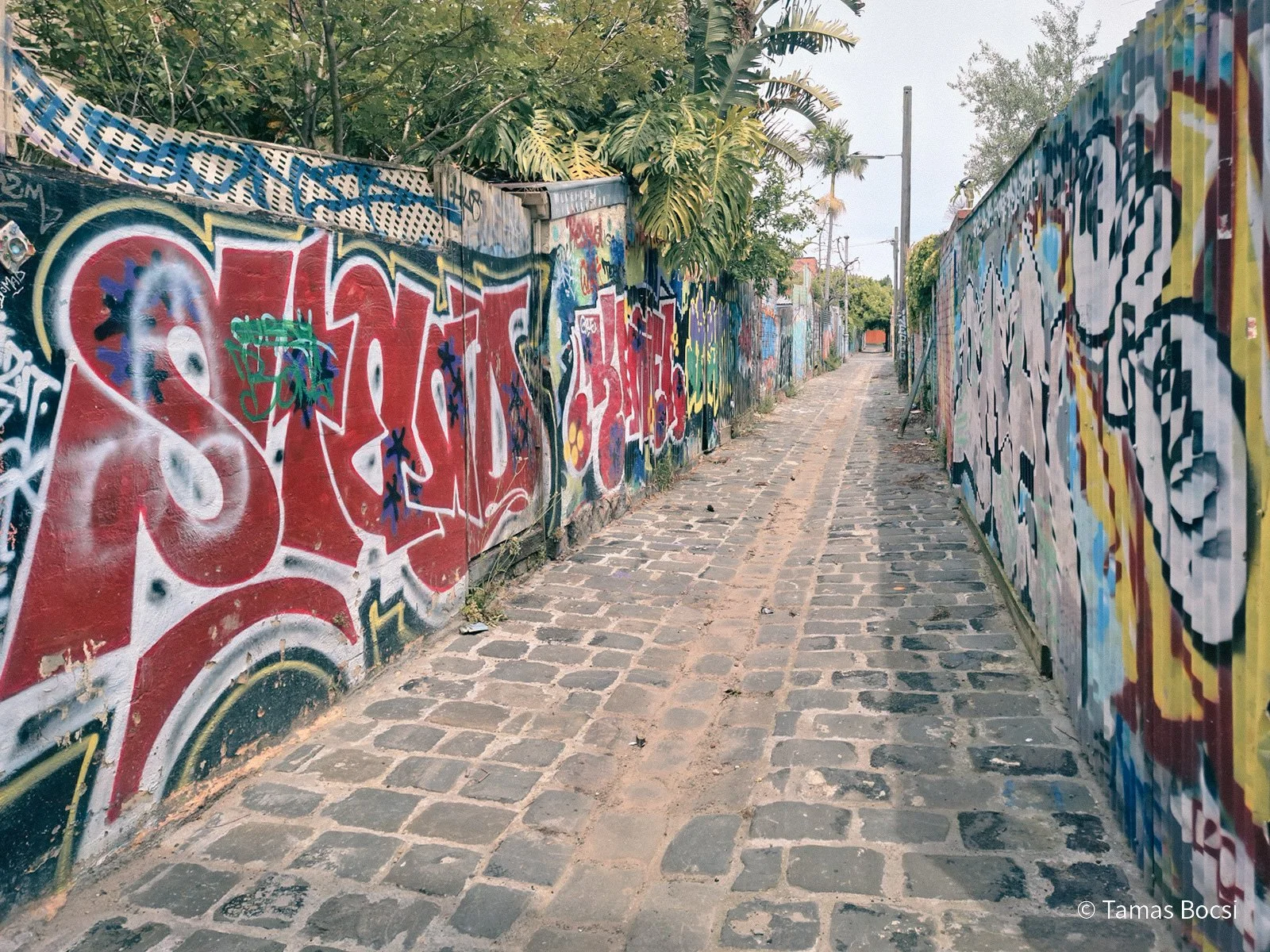 Fitzroy - Street Art