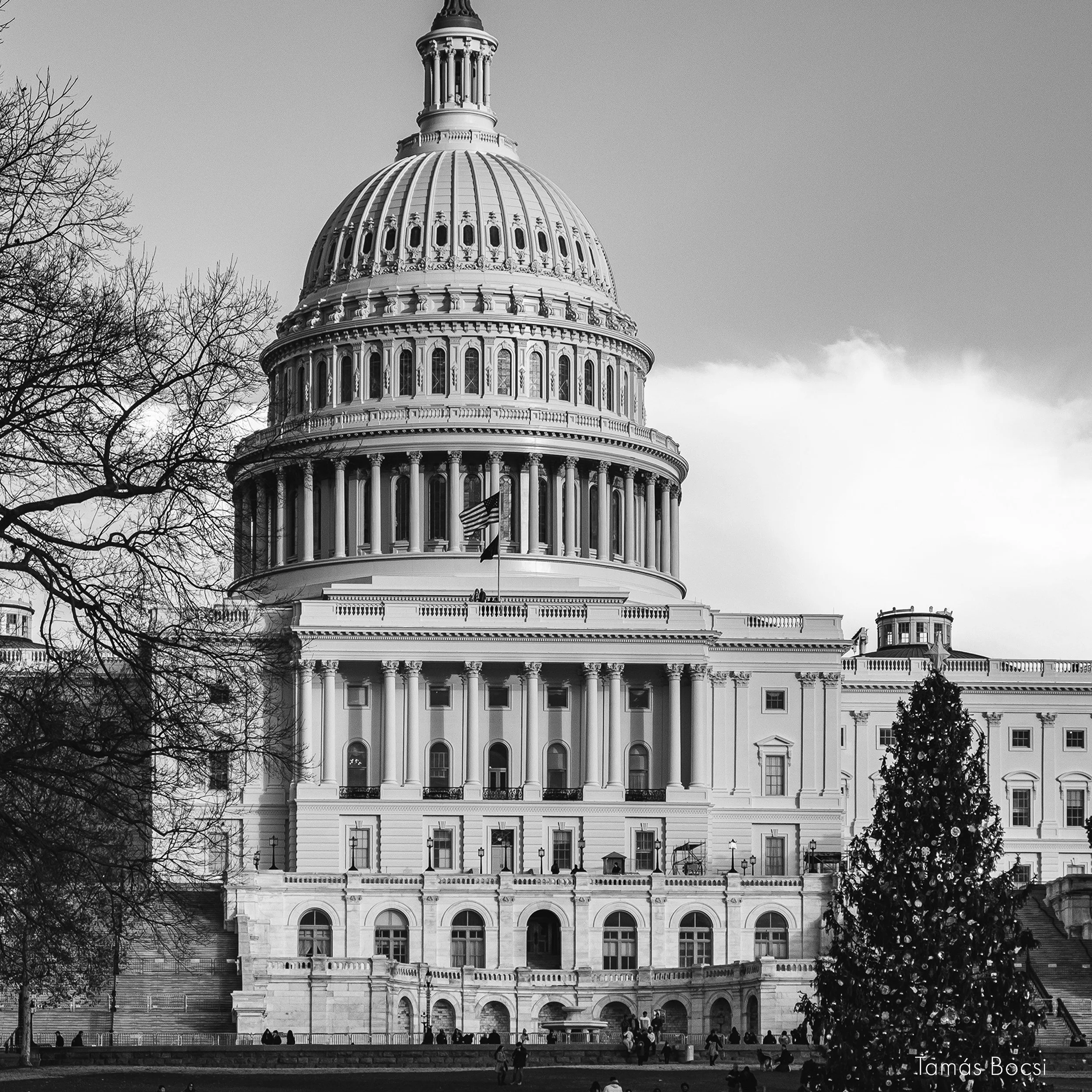 Washington DC Capitol BW - Closeup-detail