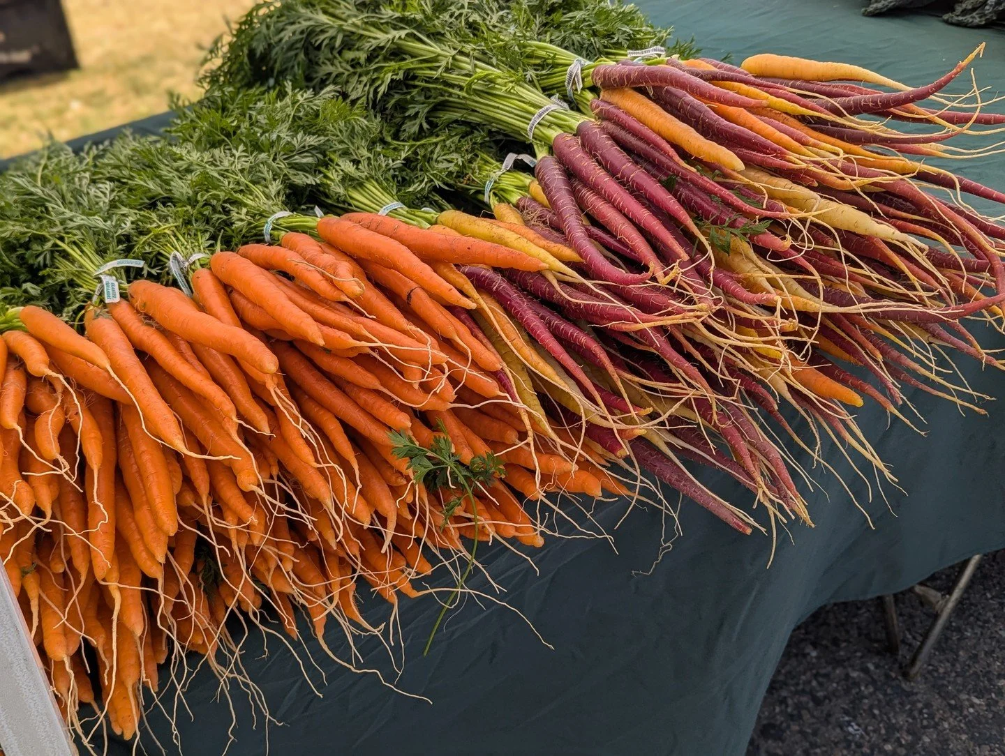 Colors of fall at the market 🍂 We are looking forward to seeing what the fall harvests bring.