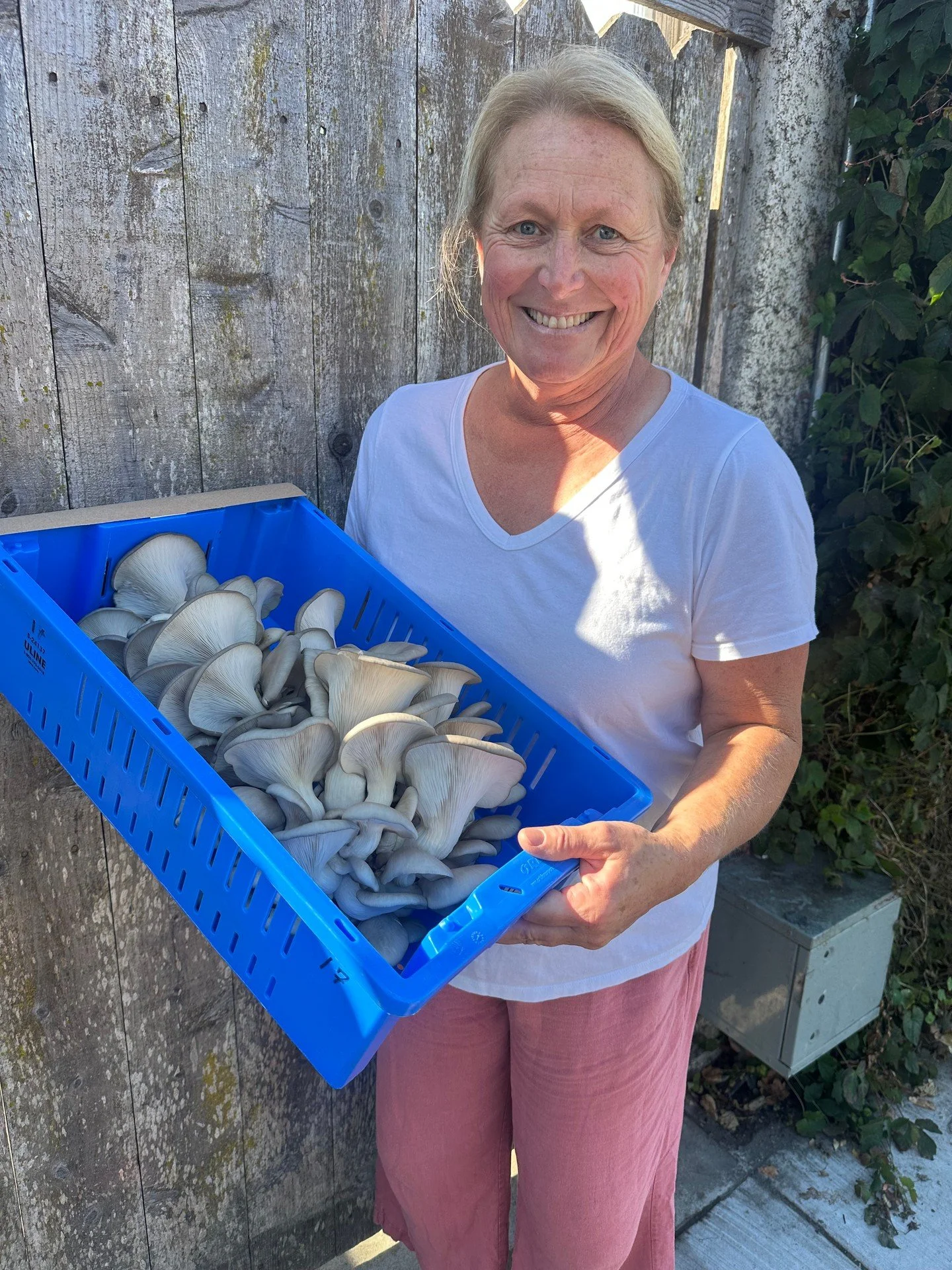 We'll be using mushrooms from @mushroomsonmain grown by Jenn Perryman in this week's menu change. This lady puts so much love into her mushrooms that I think they must feel it &amp; it shows in her product. We are proud to showcase her mushrooms in o