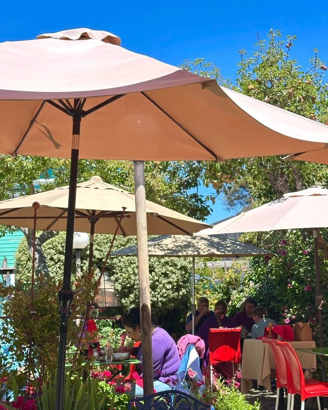 Heads up! We'll be closed February 2nd through the 4th to do some deep cleaning. Mark your calendars and join us before or afterwards!