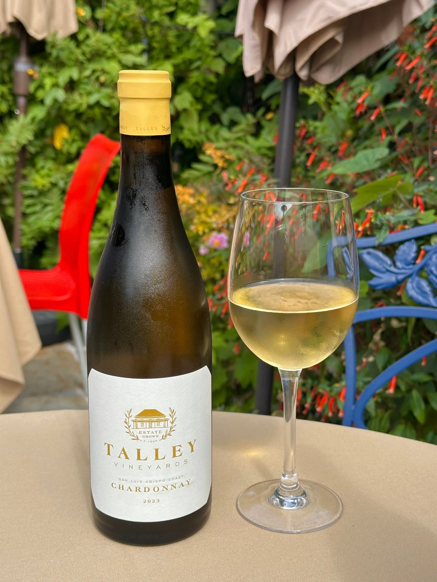 Savor the flavors of the coast 🌿 Enjoy @talleyvineyards
SLO Coast 2023 Chardonnay with our Crispy Vietnamese Spring Rolls for a perfect pairing.