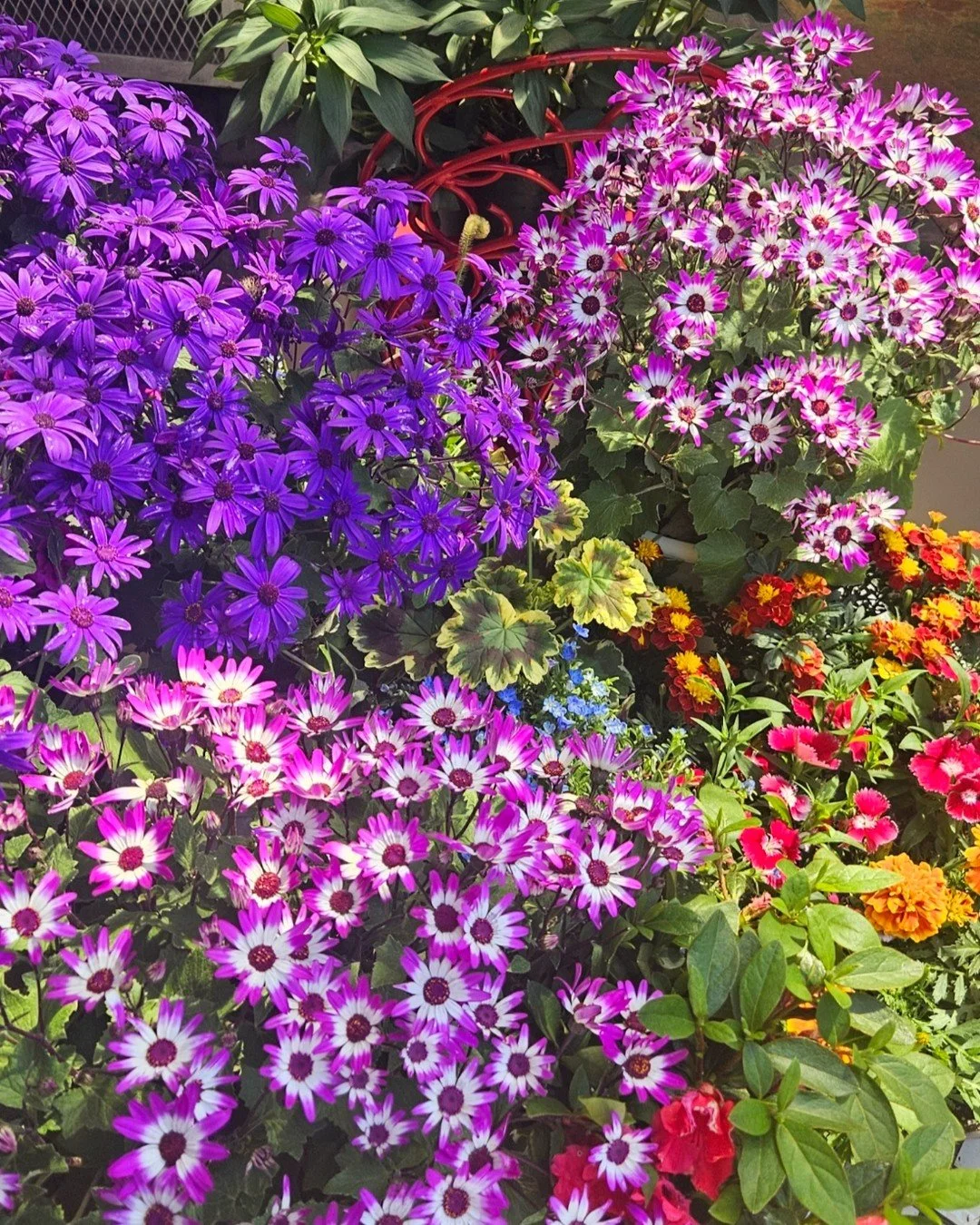 A little spring in every corner 🌼 With Easter weekend around the corner, the garden is ready for you.