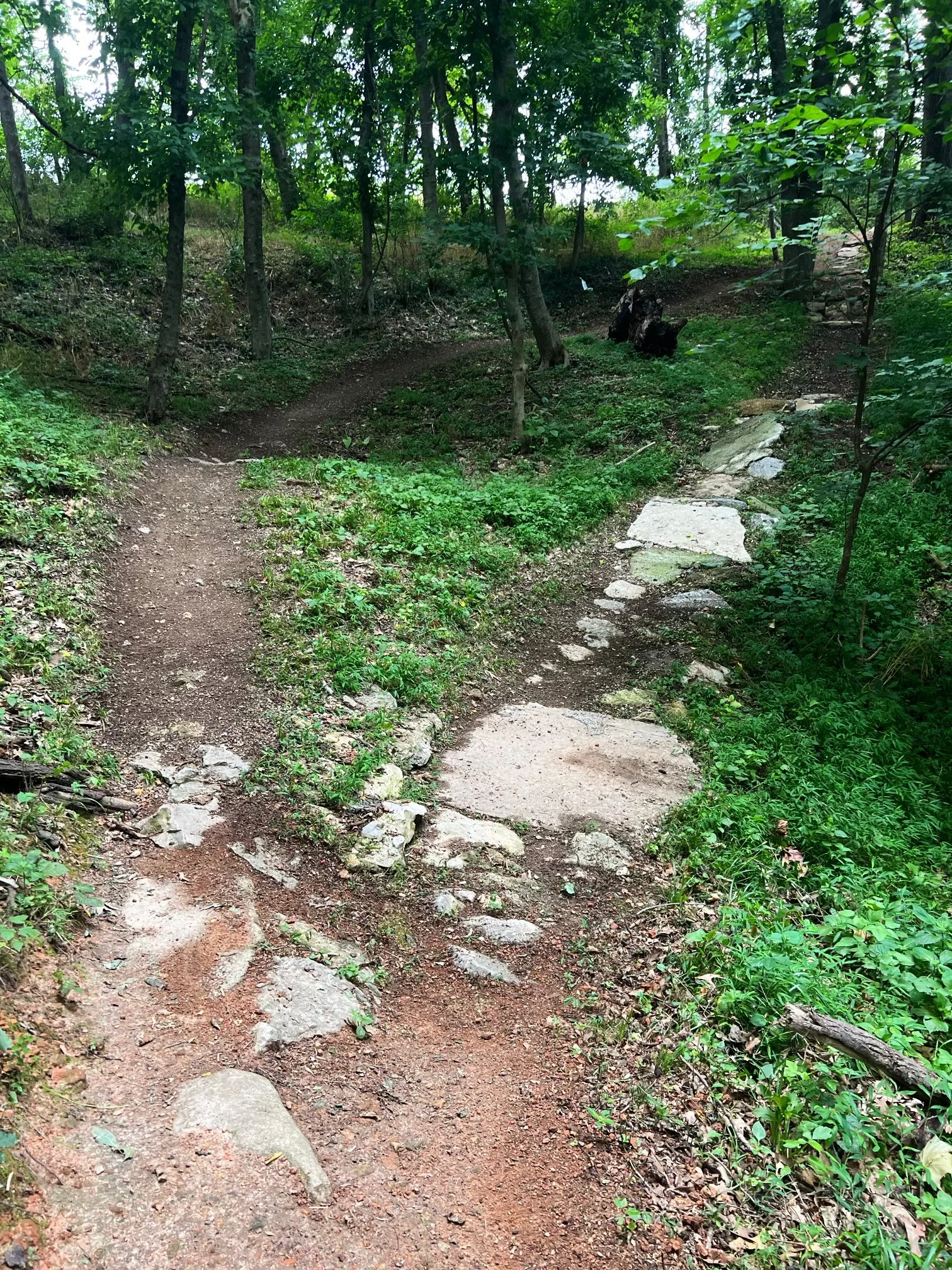 Trail Maps — Trailblazers
