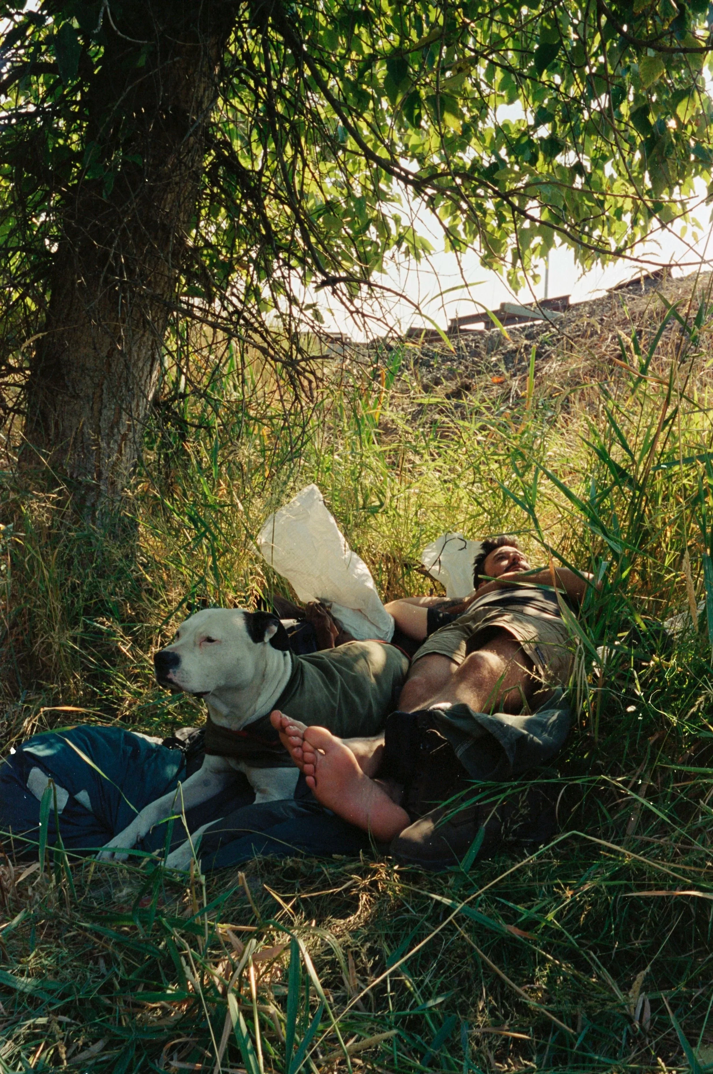 p3.dansuetrainshopout (2).jpg