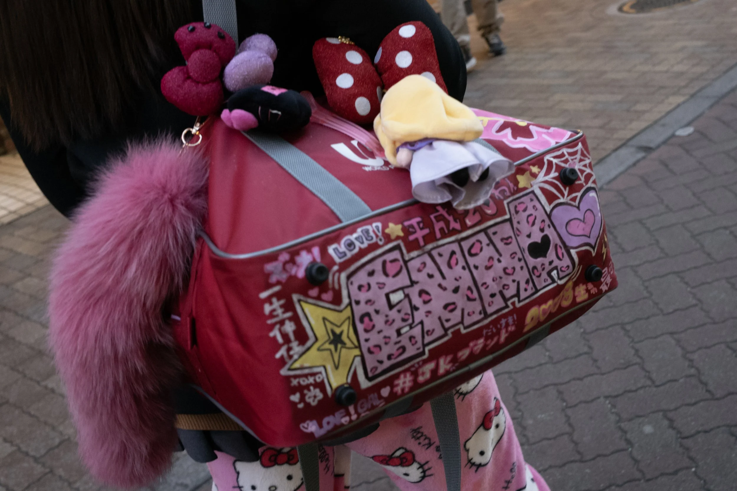 JAN.CROSSING NAMEBAG.571 copy.jpg