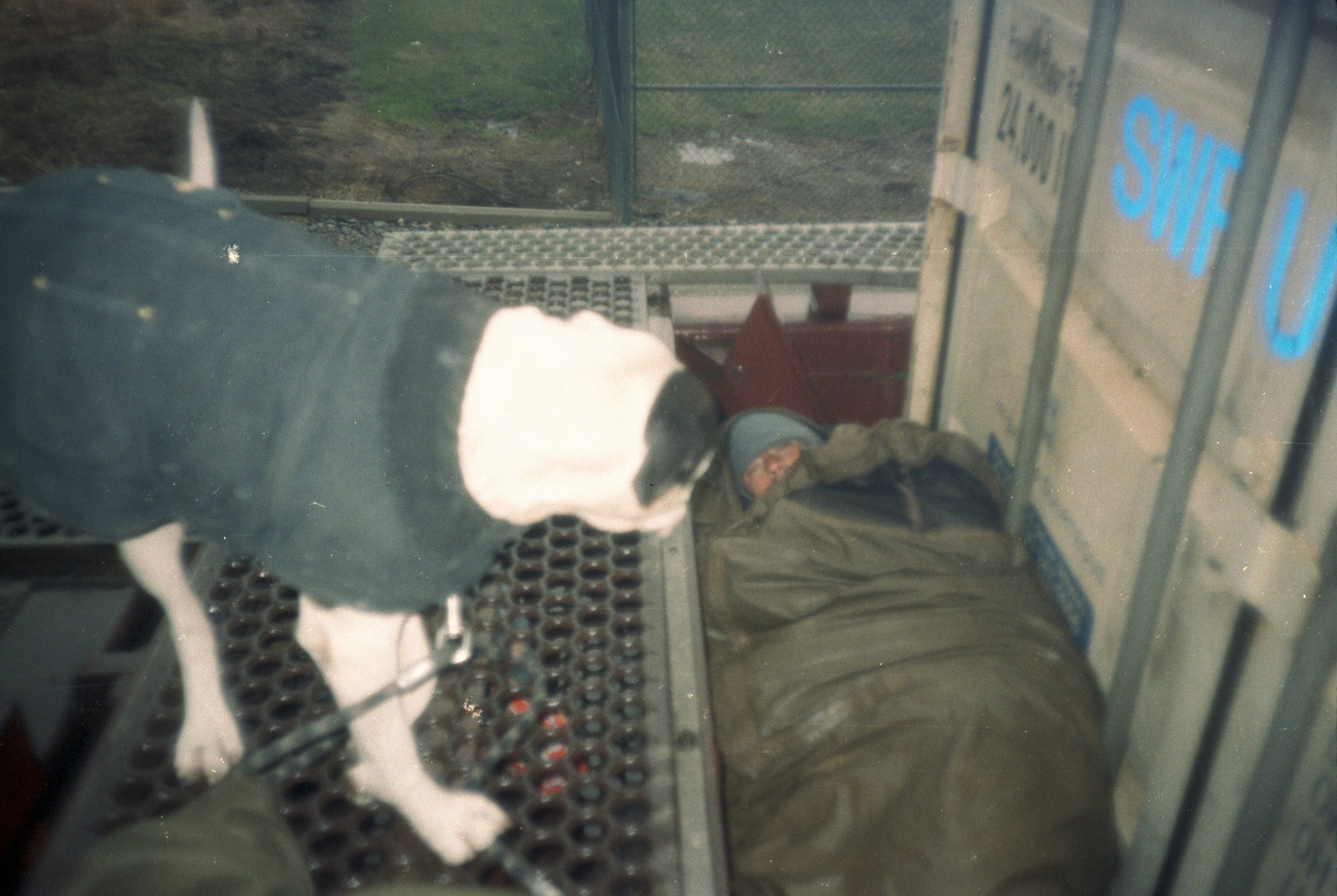 p48.r6. mini pat train.jpg