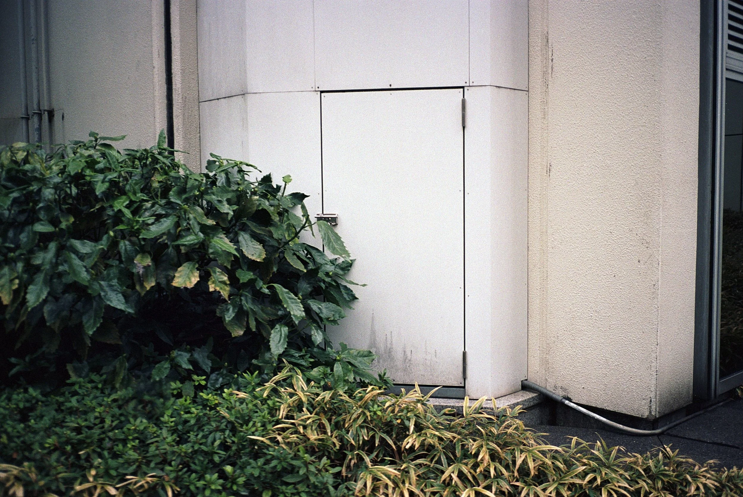 p94r1.japan (4).jpg
