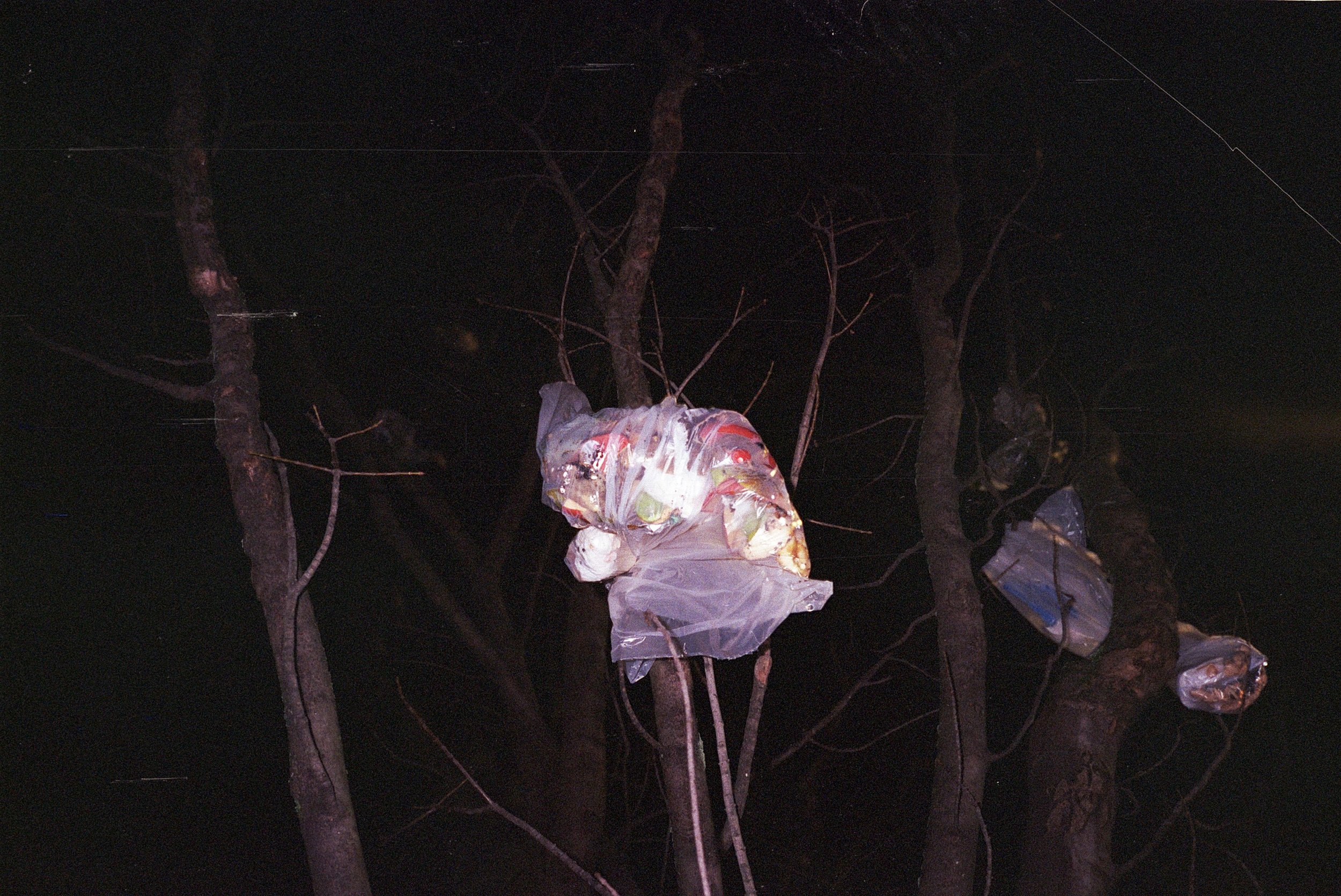 p89r2.treegarbage (2).jpg