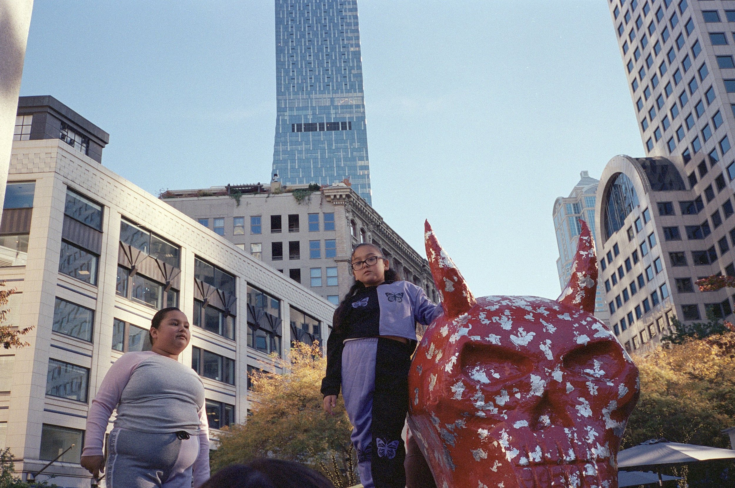 p69.r1.skull copy.jpg