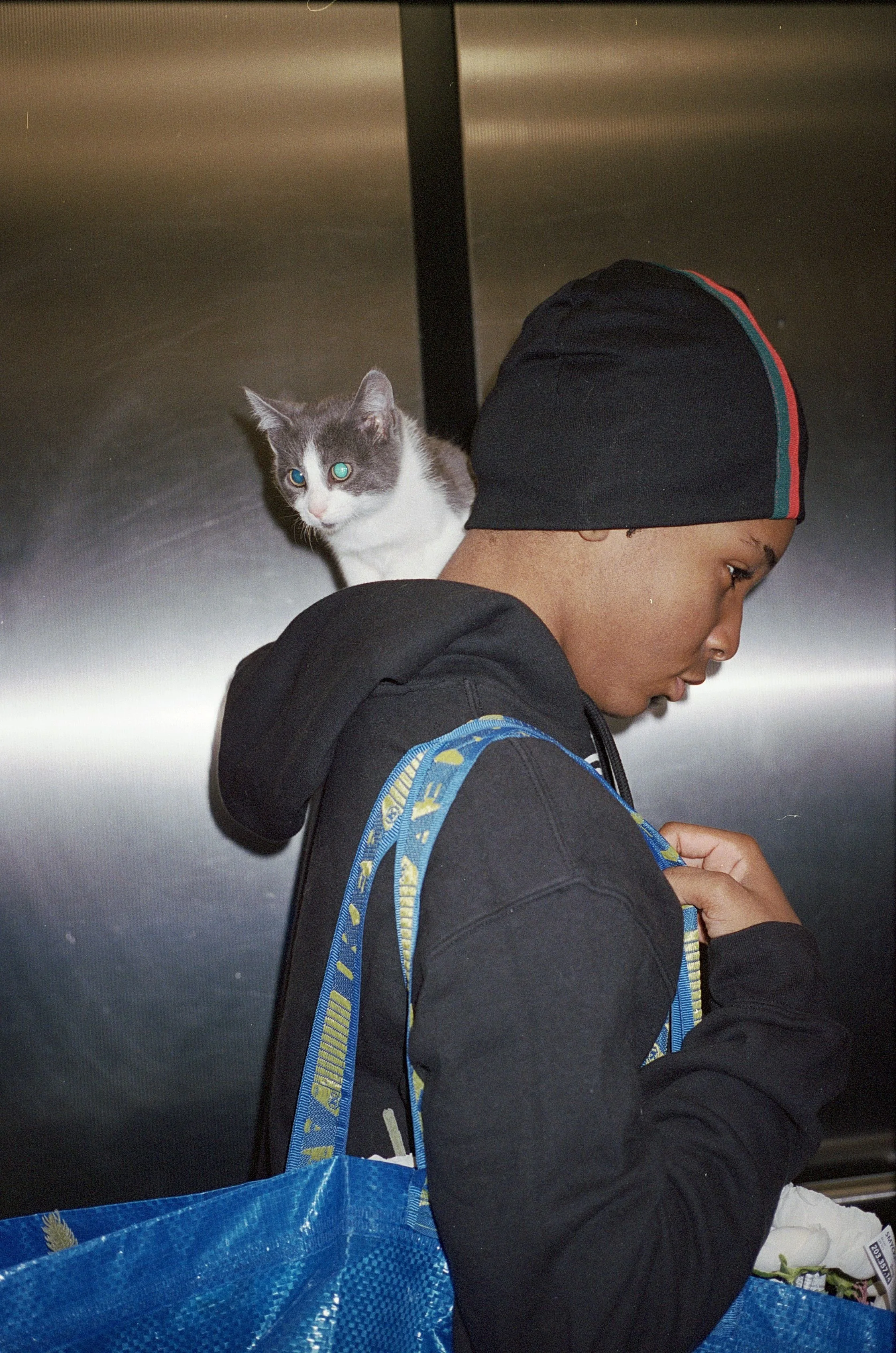 p75.r3.catkid copy.jpg