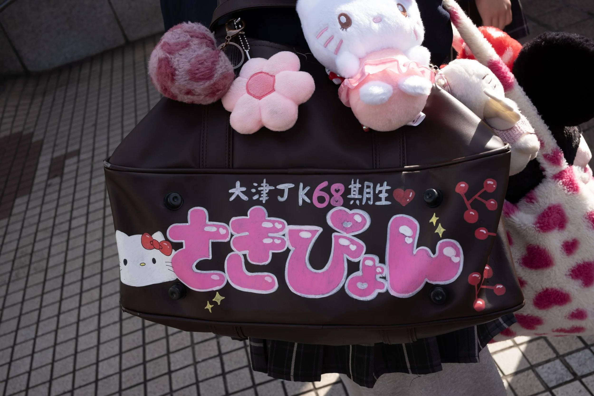 FEB.SCHOOL NAME BAG.2543 copy.jpg