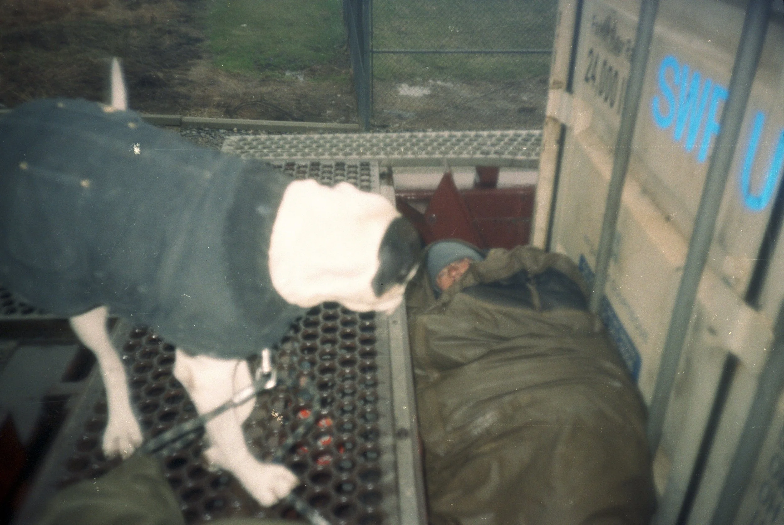 p48.r6. mini pat train.jpg