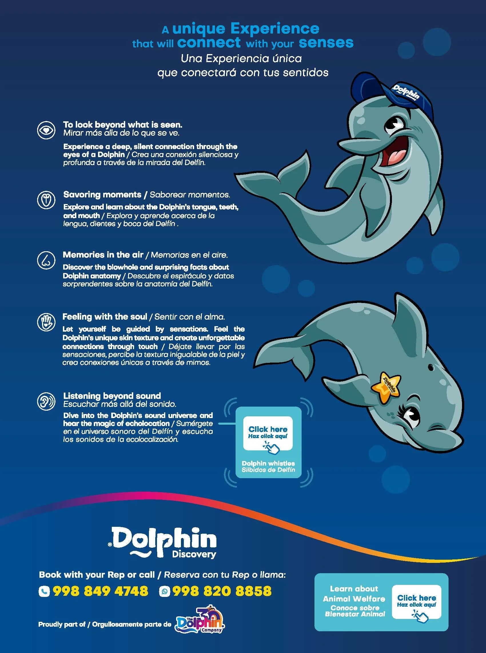 Mica Dolphin Discovery Isla Mujeres_Page_9.jpg