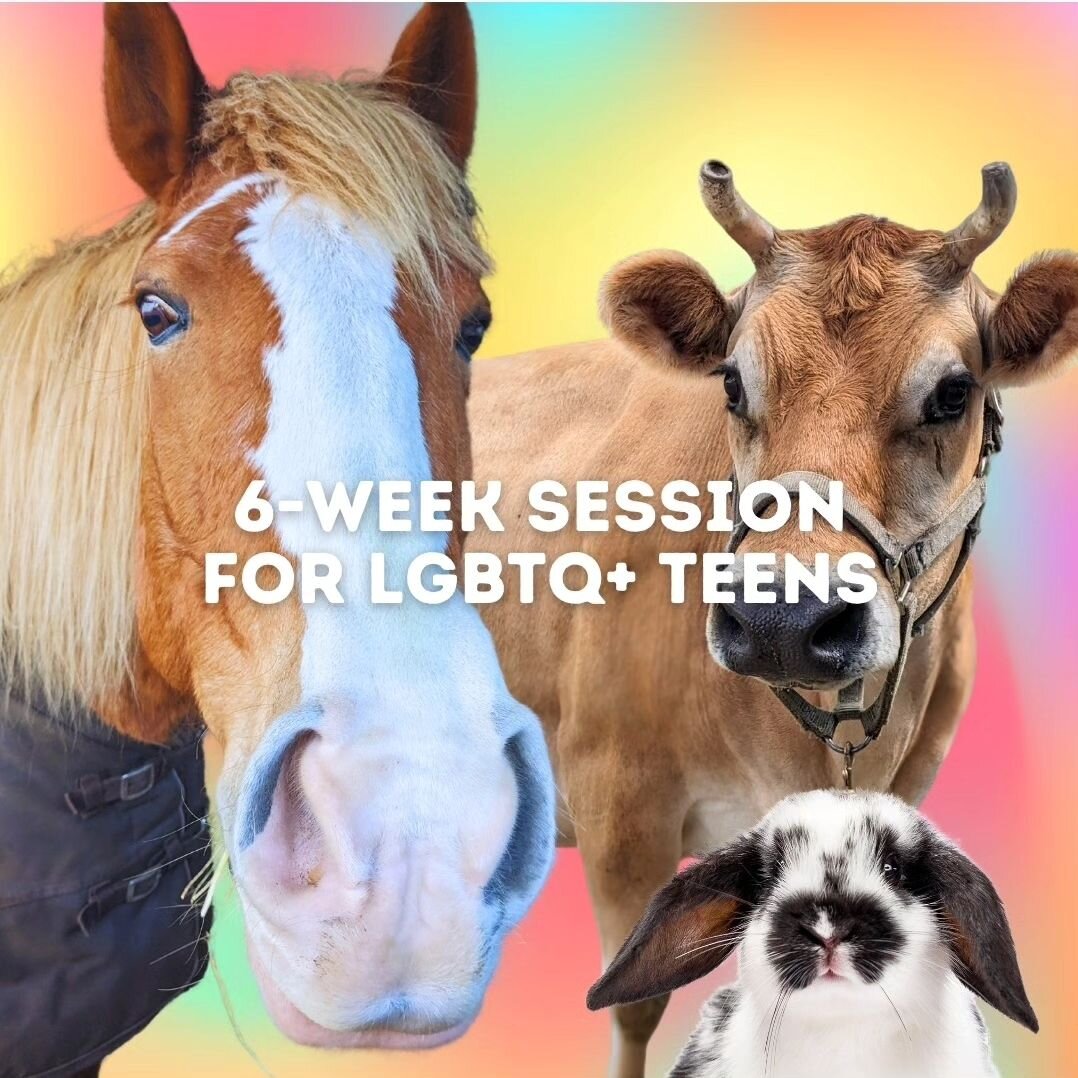 Our friends over at @ant_bellingham are hosting this awesome LGBTQ+ youth centered session with equine-assisted learning!
Check out their account for more info 😊
&bull;
&bull;
#YouthPride #LGBTQIAyouth #WhatcomCounty #LGBTQyouth #LGBTyouth #TransYou